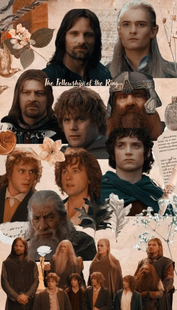 Fellowship of the Rings ⎢wallpaper