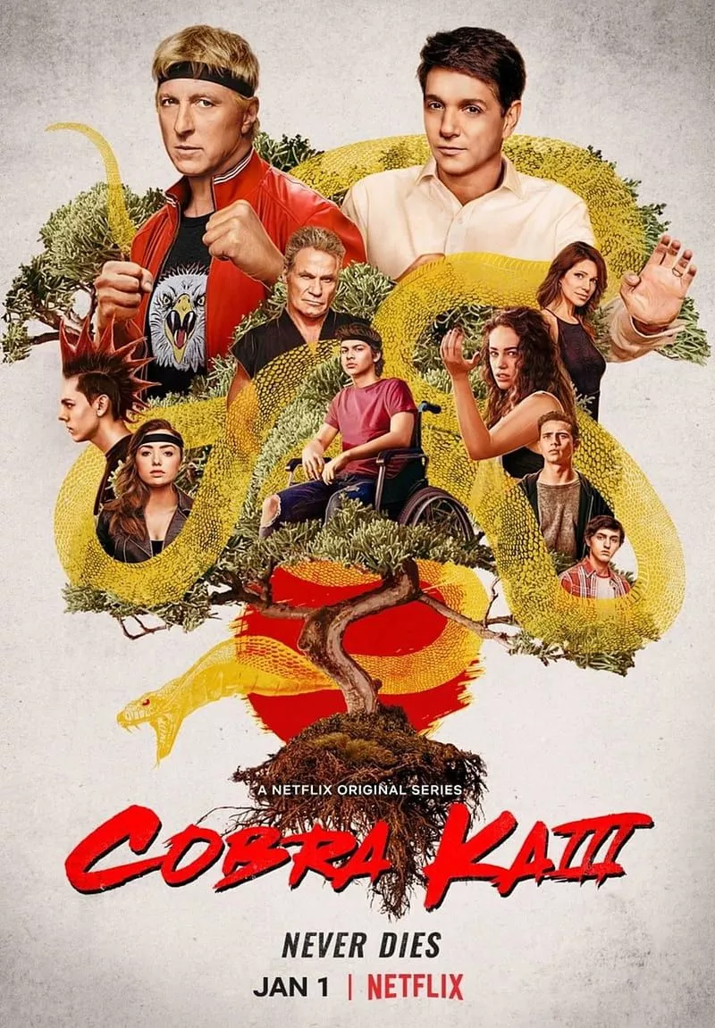 Cobra kai, karate, netflix, HD phone wallpaper