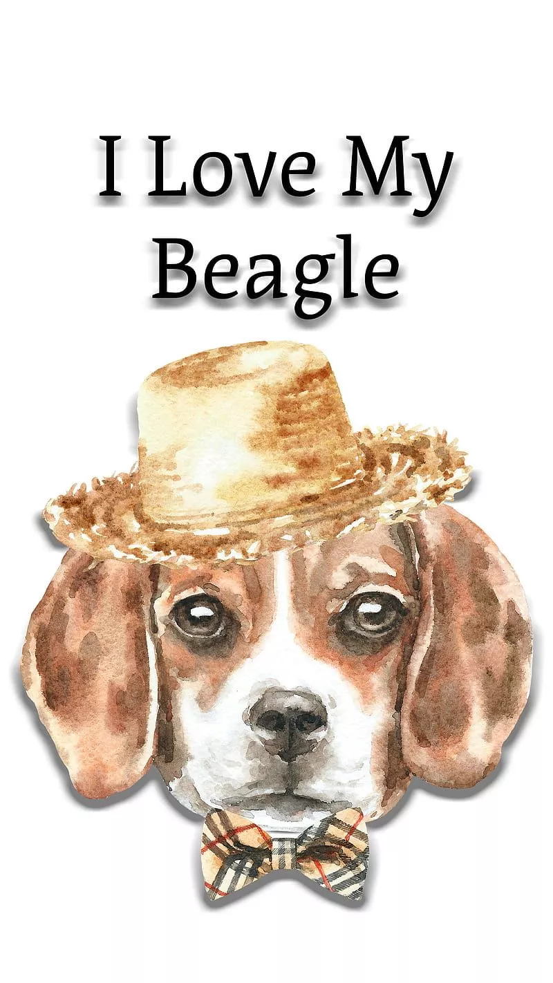 Love My Beagle Dog, beagle, cute beagle