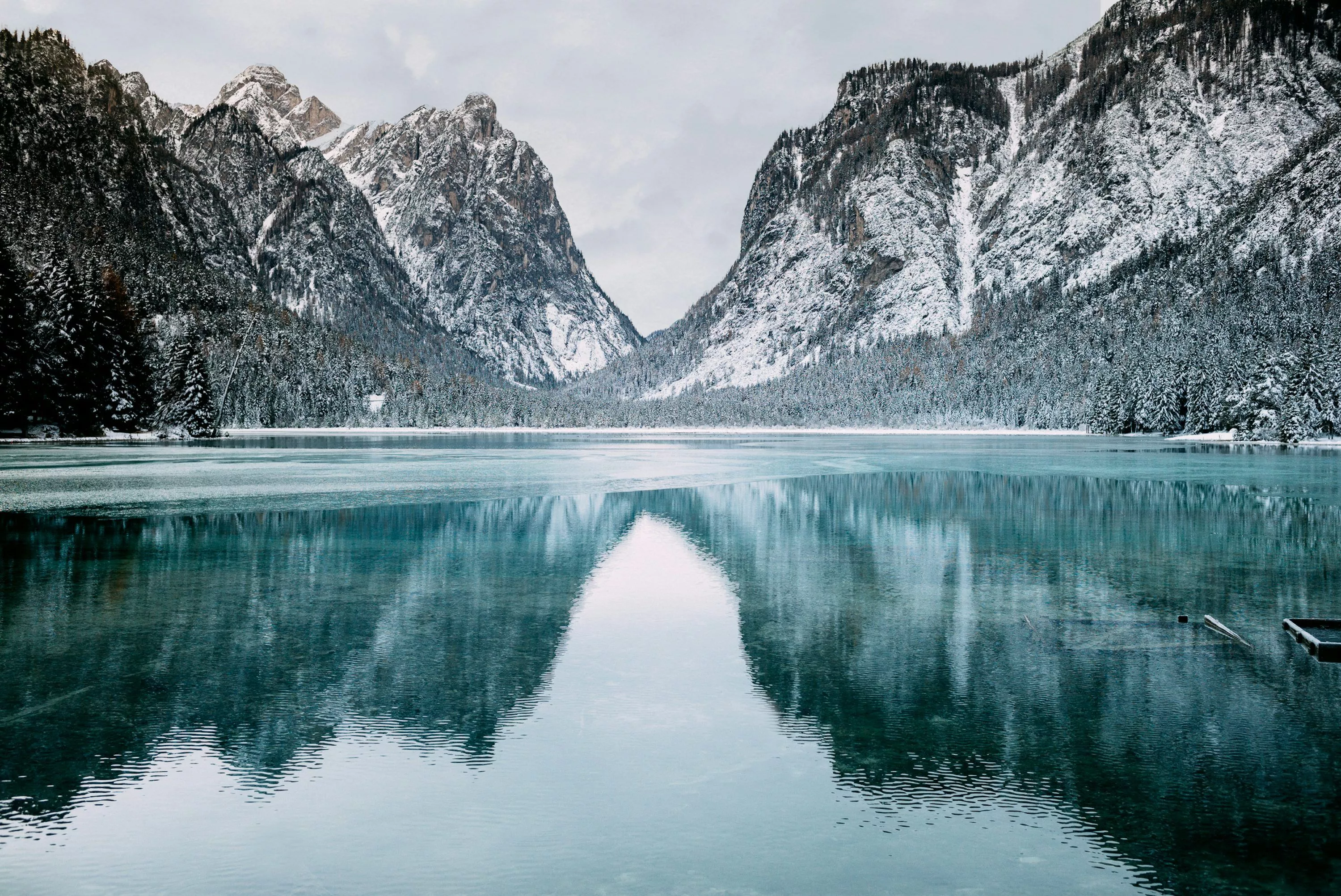 Winter Wallpaper: Free HD Download