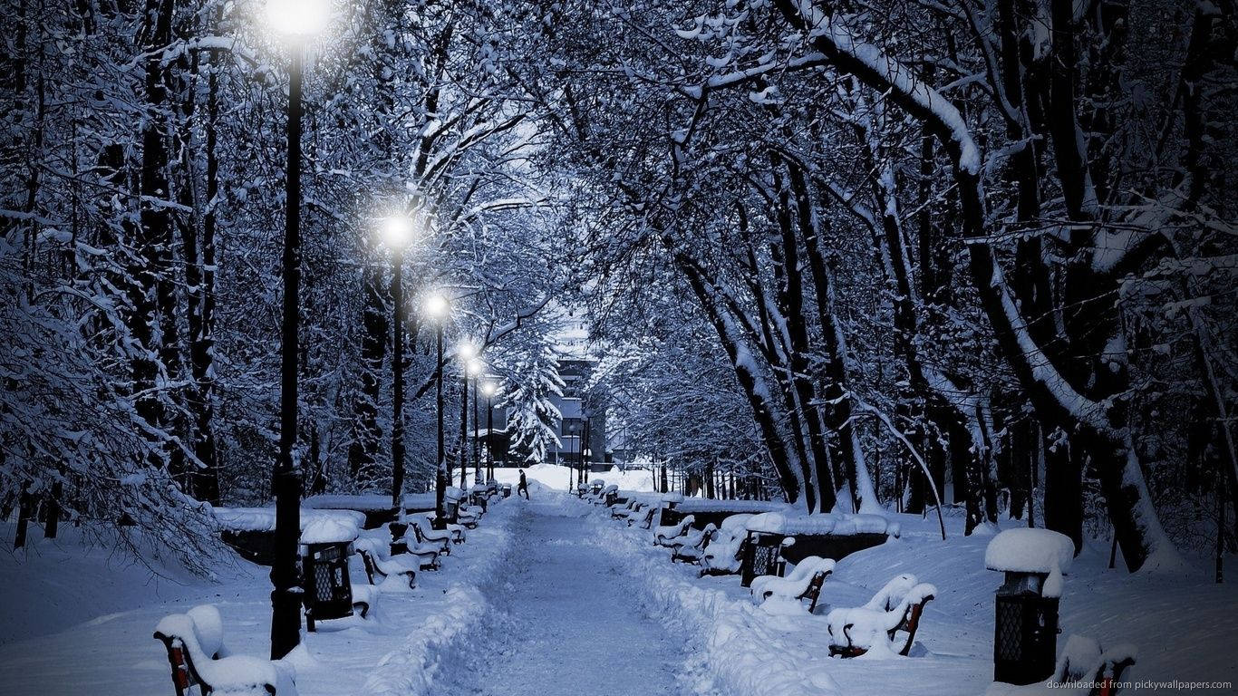 1366 X 768 Winter Wallpaper