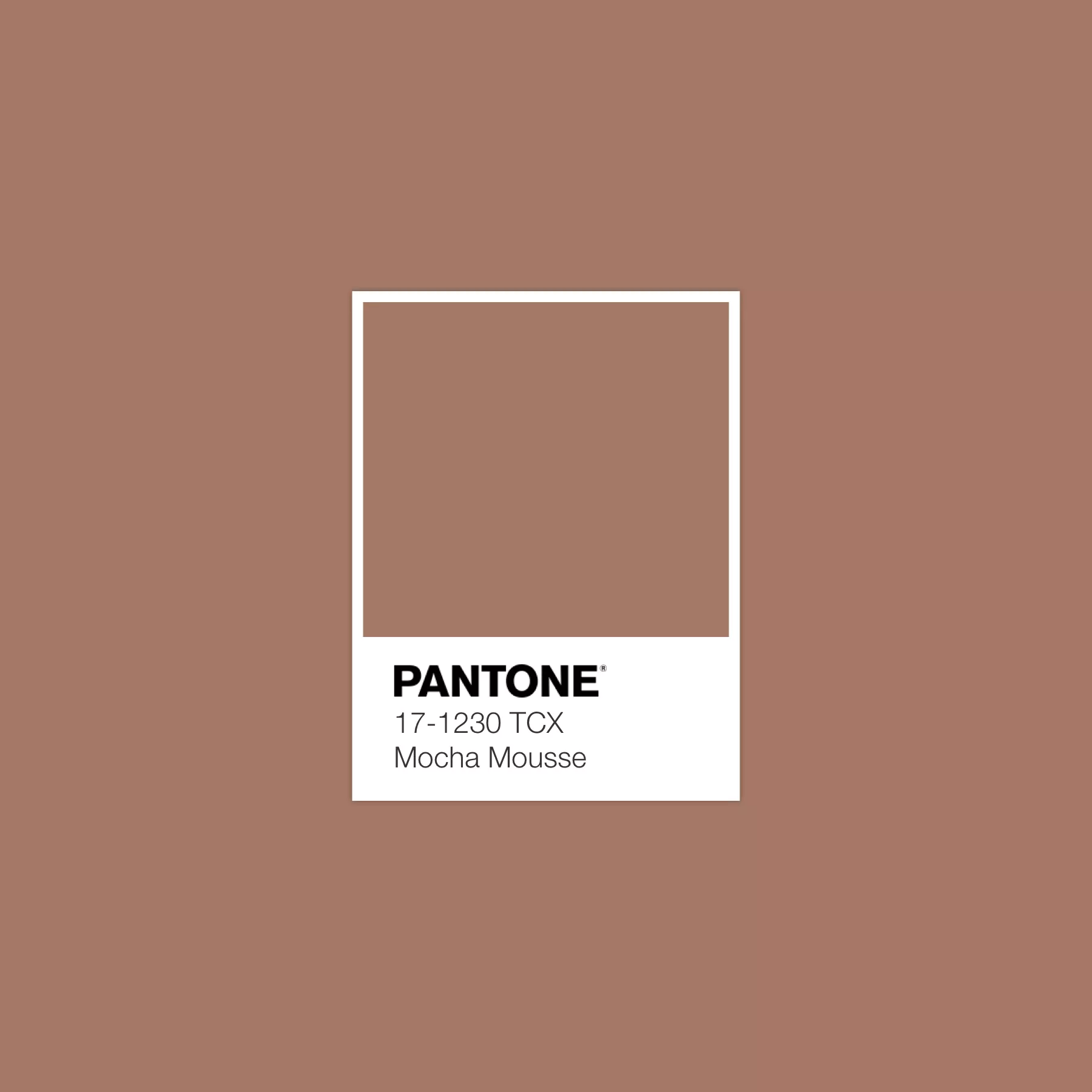 PANTONE 17 1230 TCX Mocha Mousse