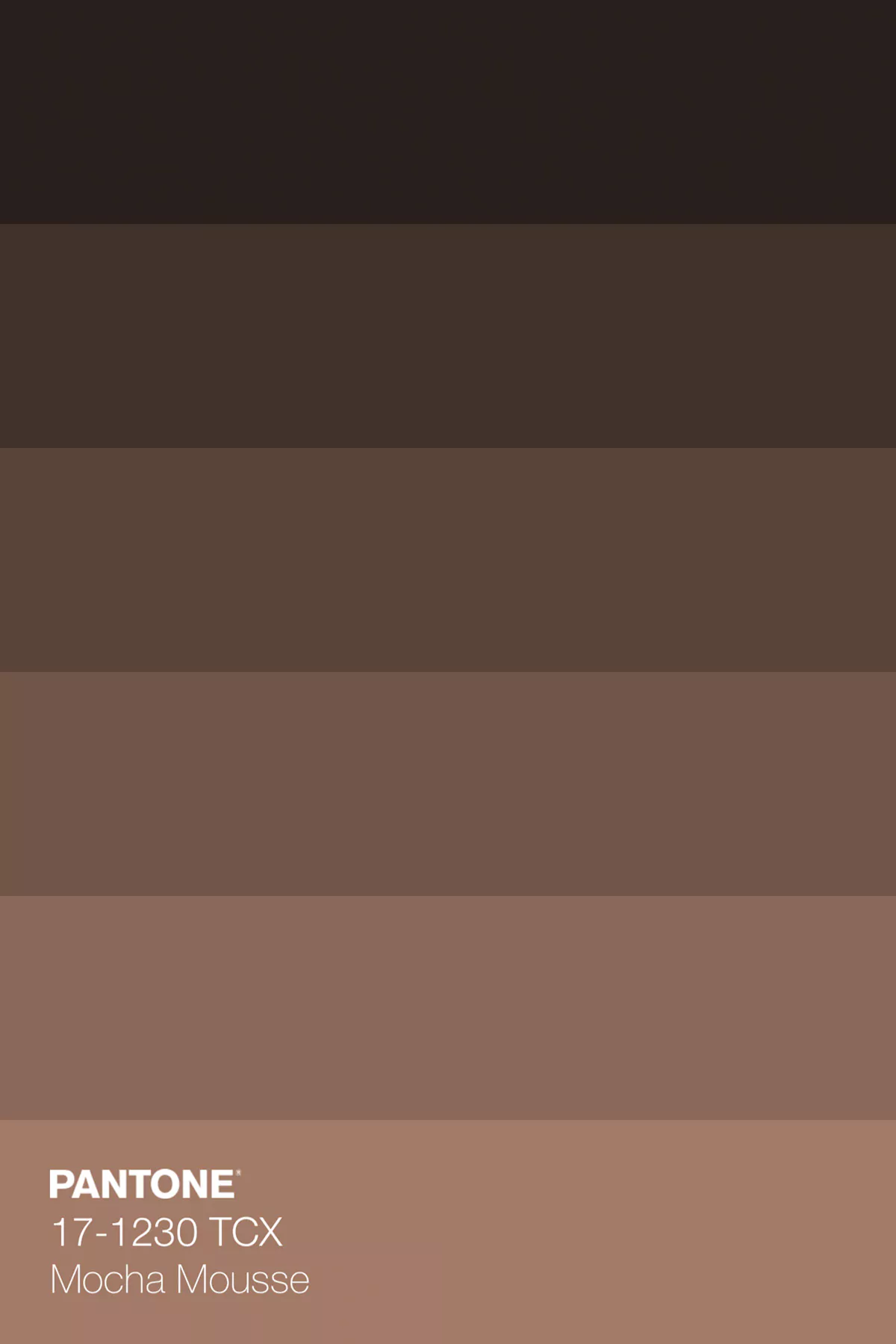 PANTONE 17 1230 TCX Mocha Mousse