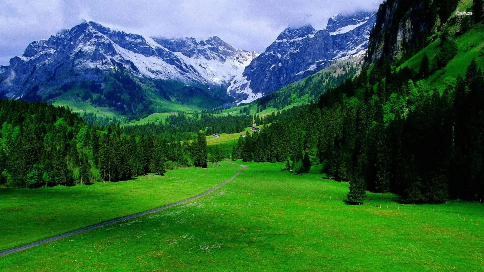 Greenery Swiss Alps Mountain With Fog
