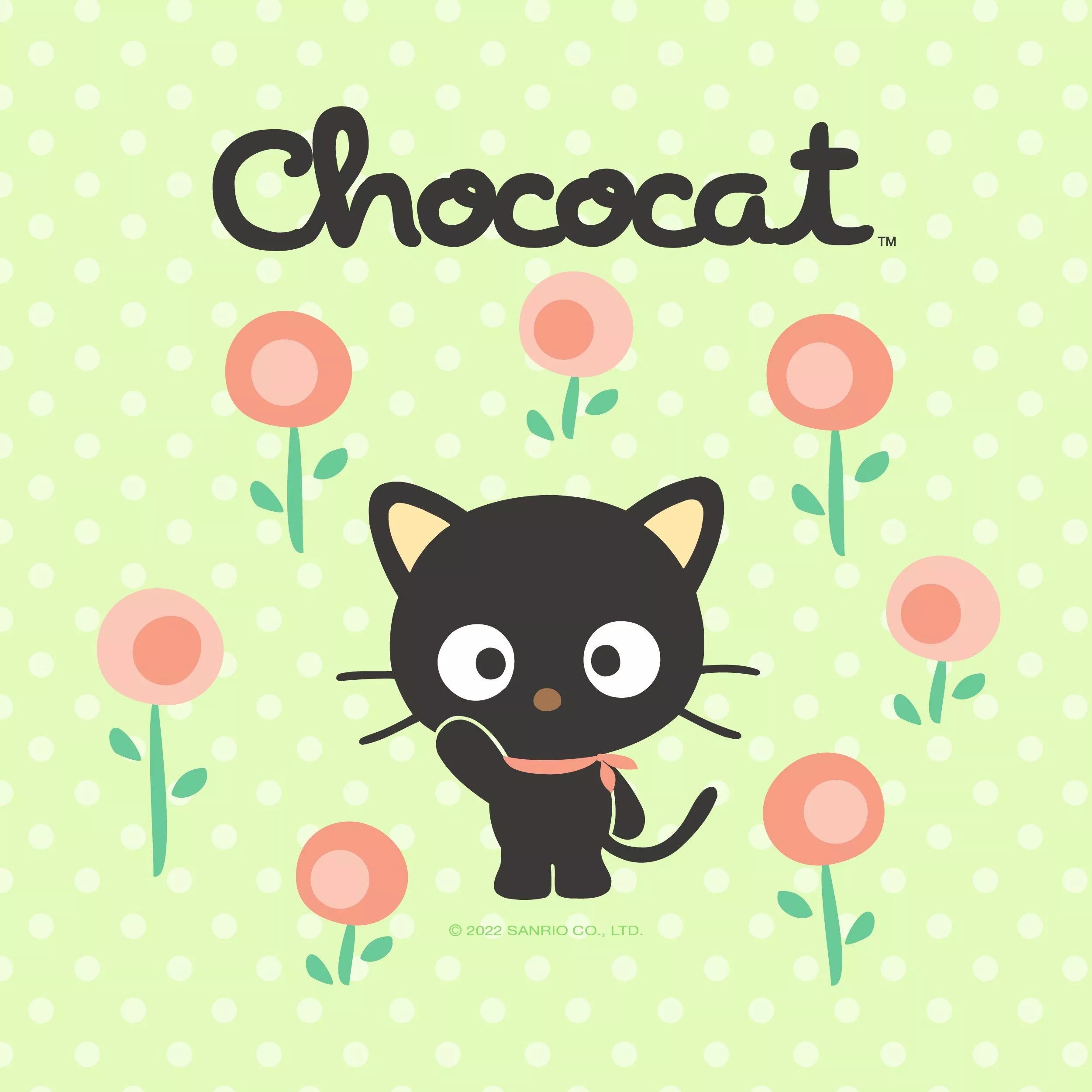 Sanrio #Chococat on the go