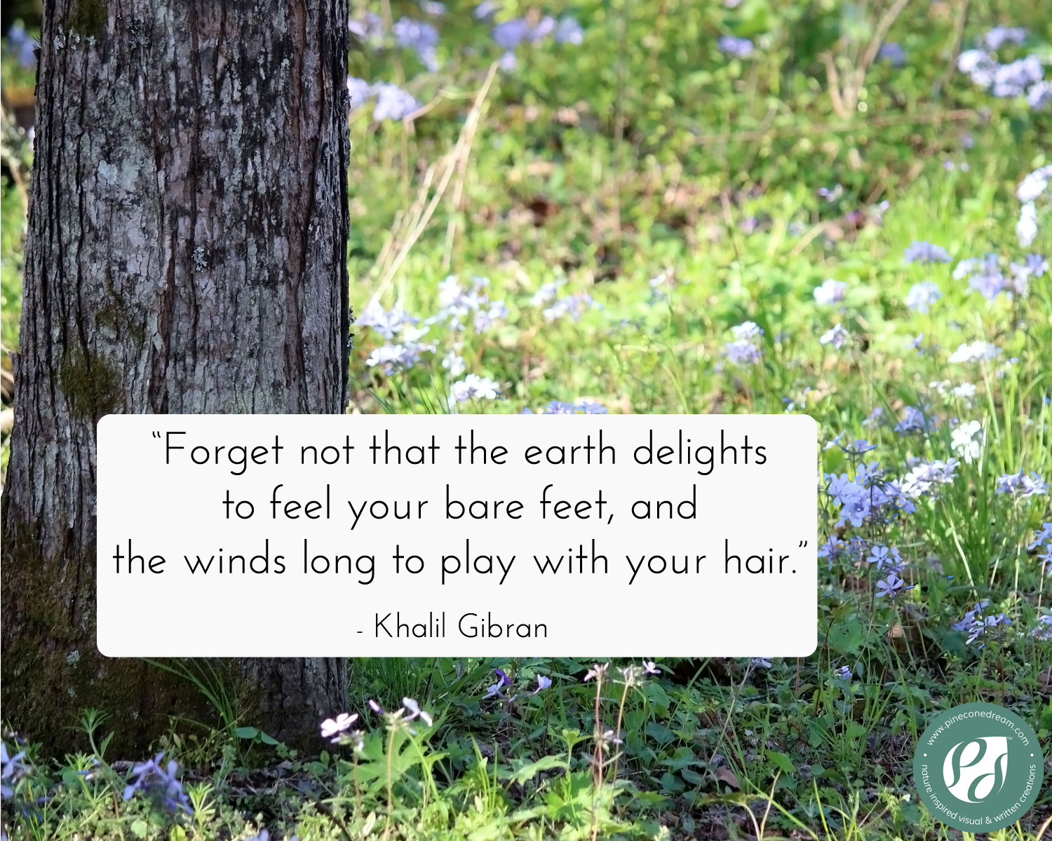 Khalil Gibran Quote about Being Mindful