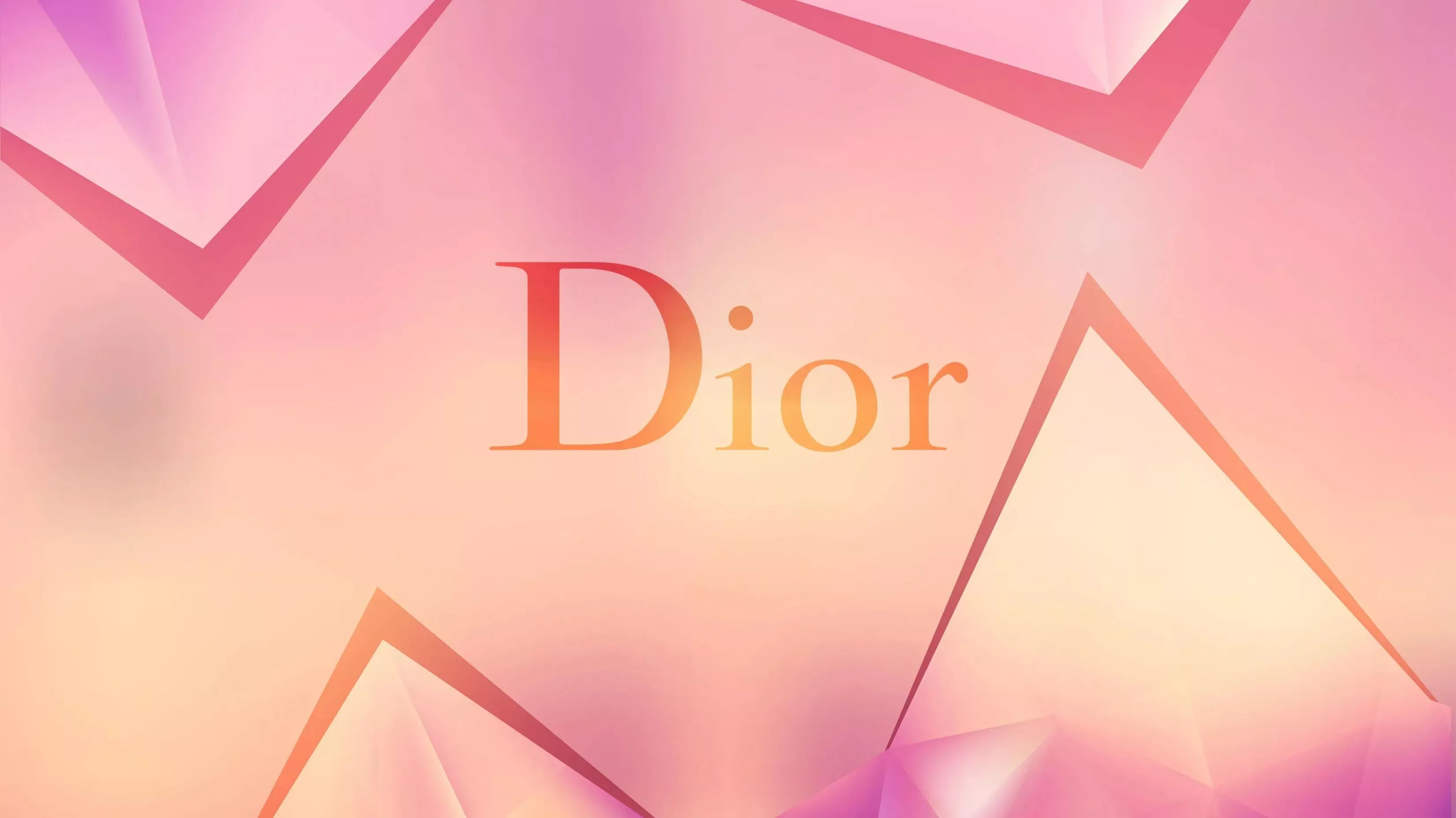 Christian Dior Logo Pink Colorful