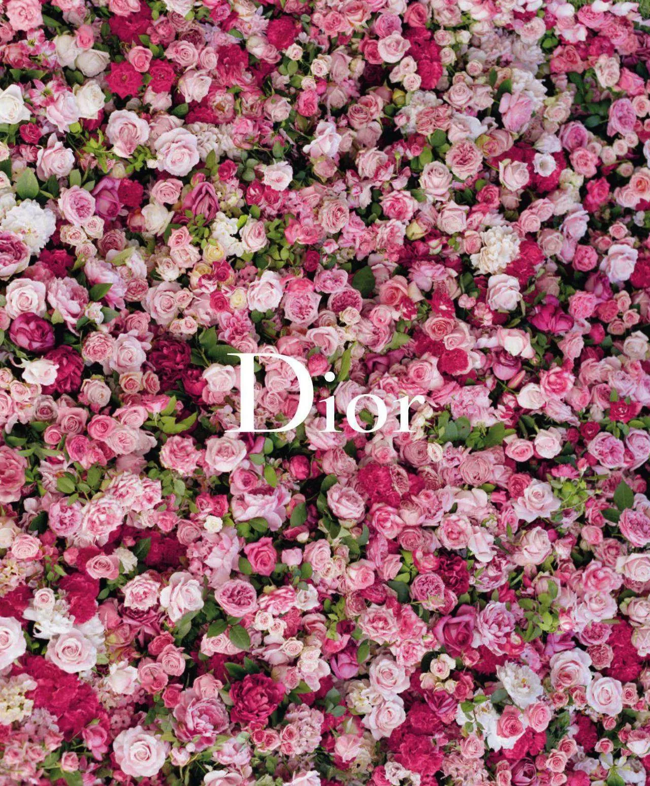 Pink Dior Wallpaper