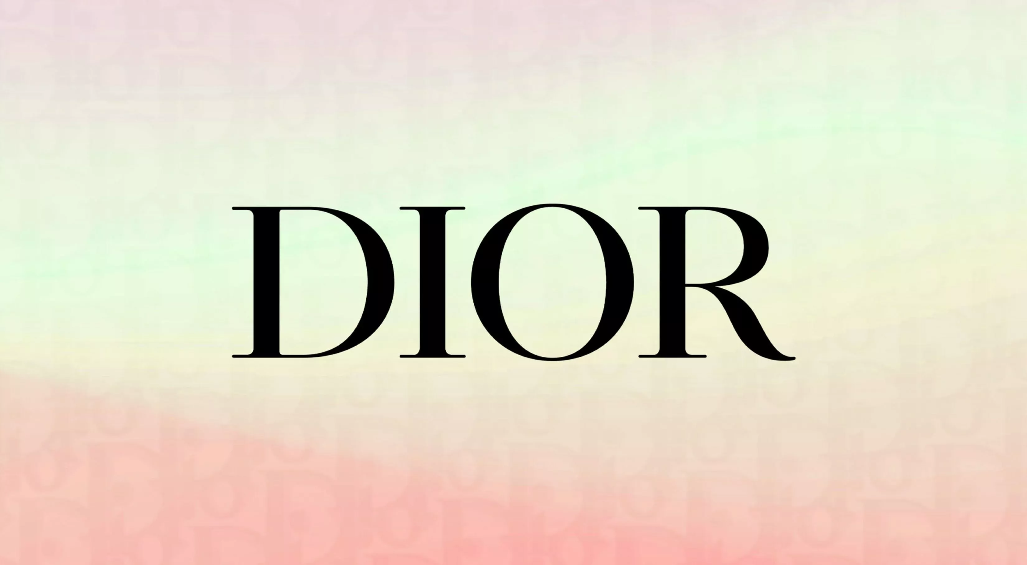 Luxury Brands Christian Dior Logo Multi Color