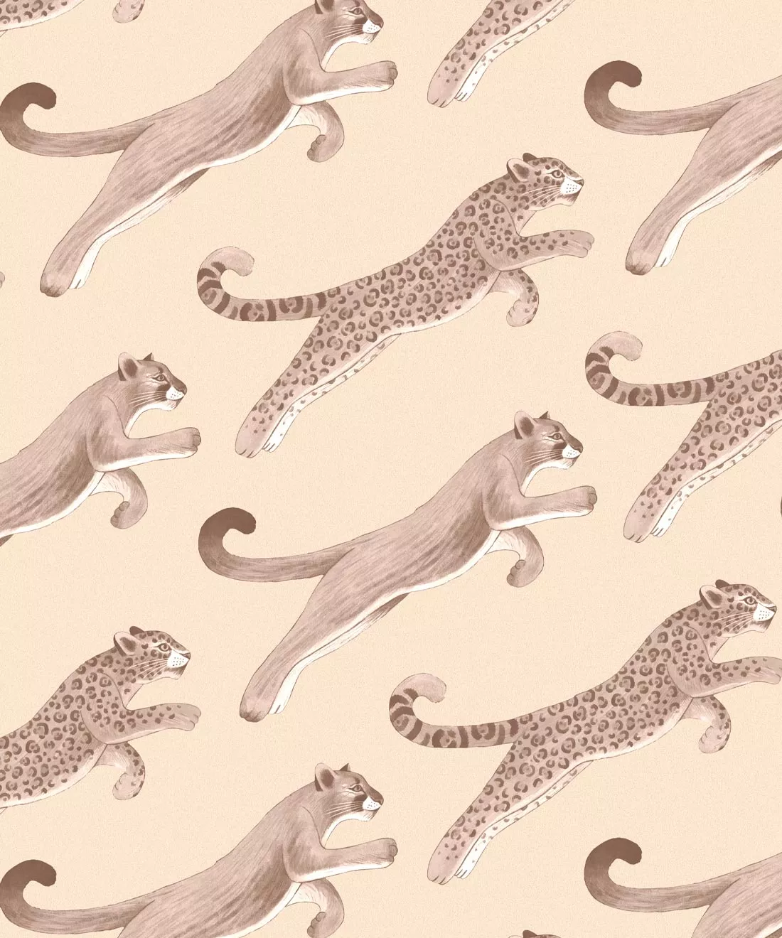 Amazon Big Cat Wallpaper • Jaguars