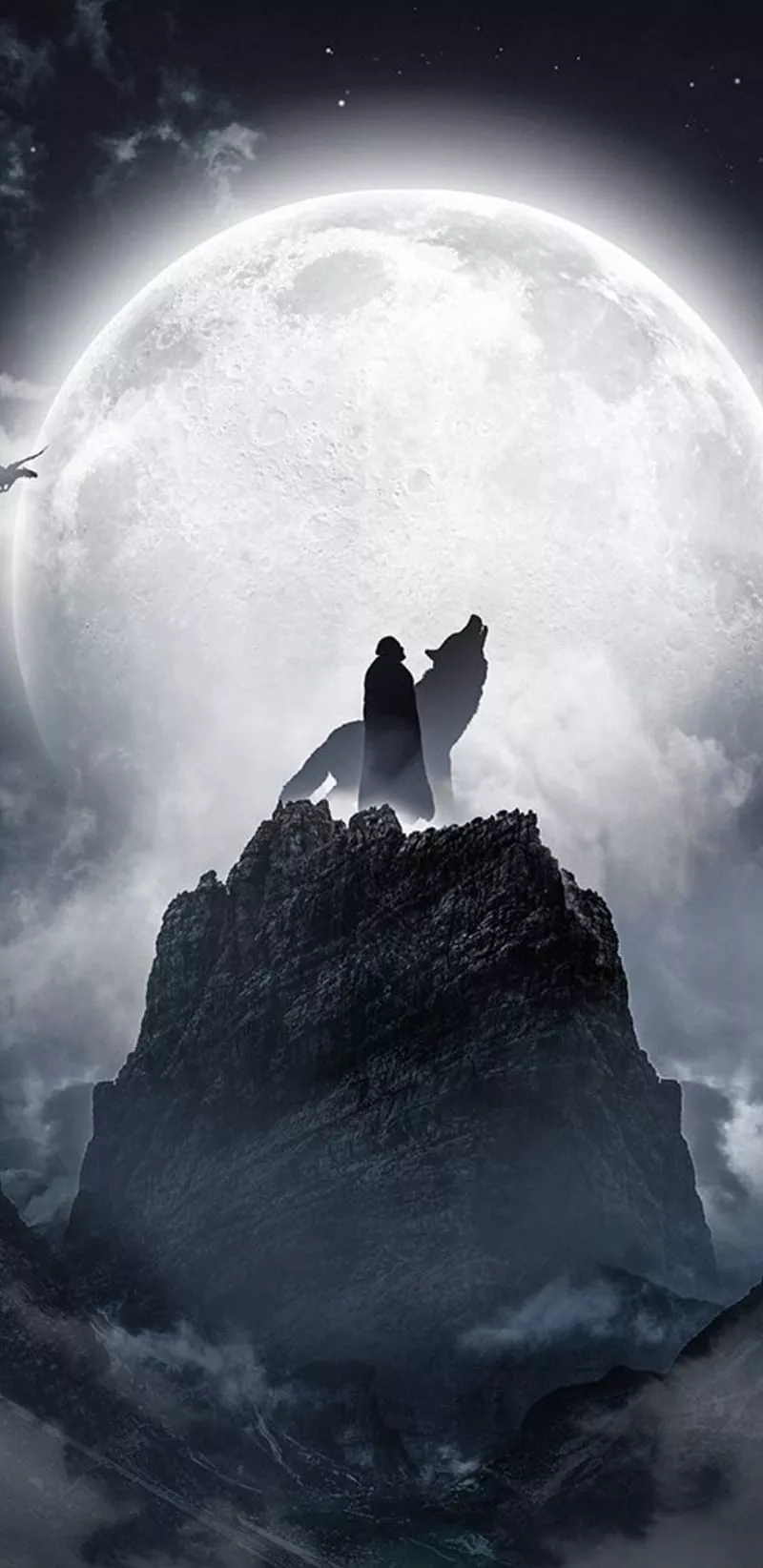 HD ghost and jon snow wallpaper