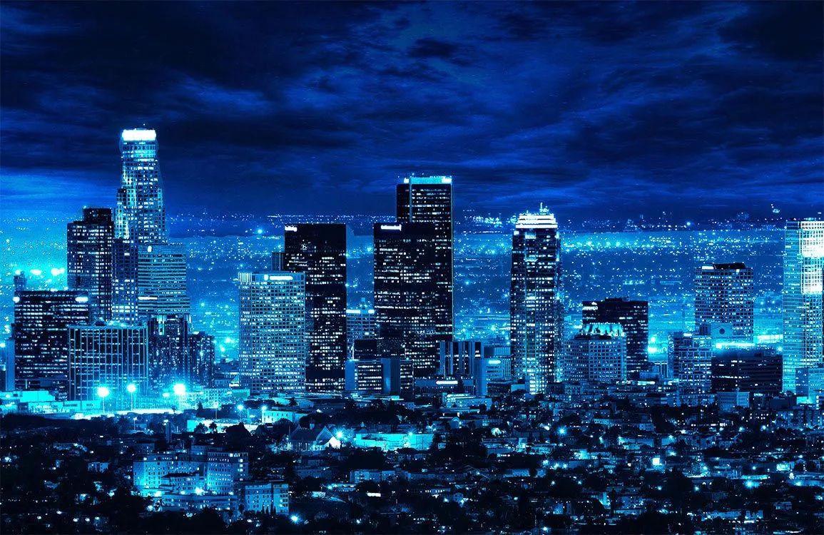 Los Angeles Night Wallpaper Mural