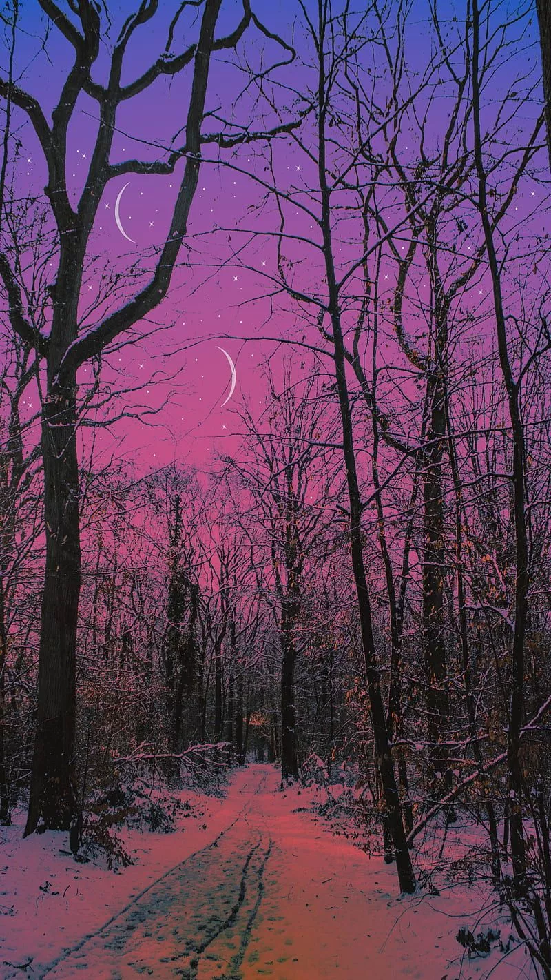 HD winter vibes wallpaper