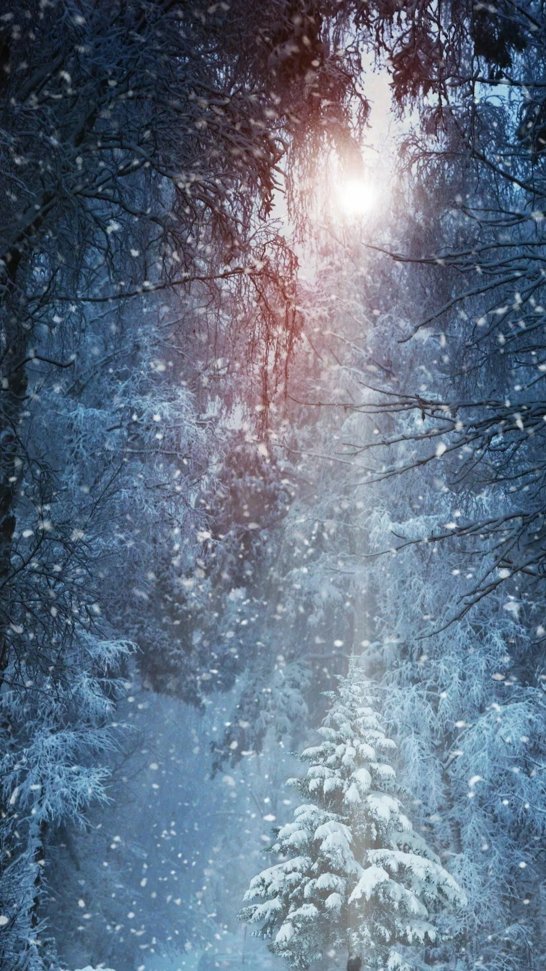 Snowfall Wallpaper