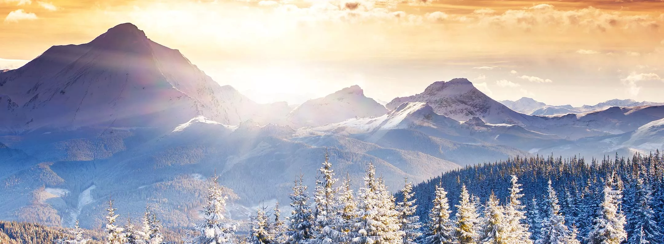 Majestic Snowy Mountain Landscape Mural Wallpaper Wonderland Scene