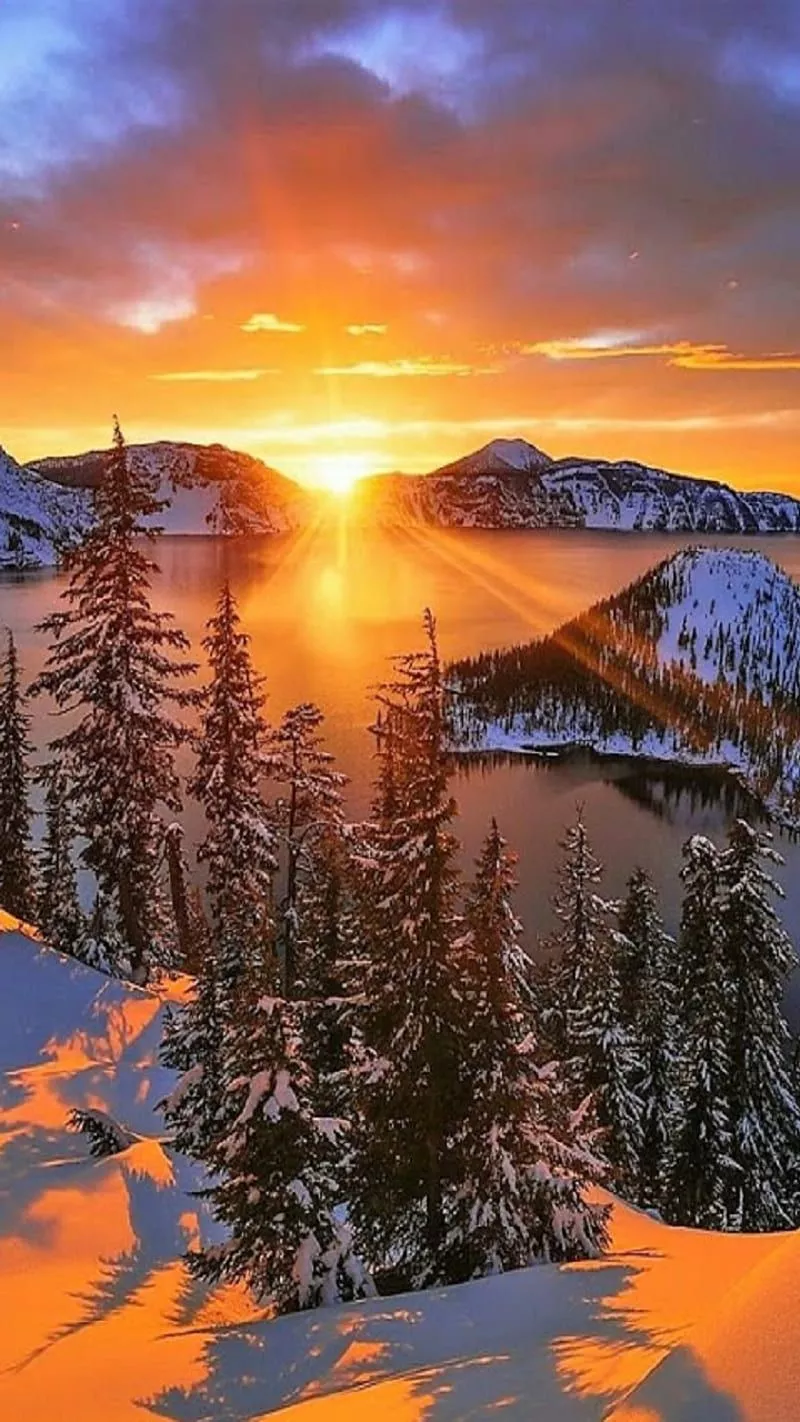 Winter, mountains, snow, sunset, tree, HD phone wallpaper