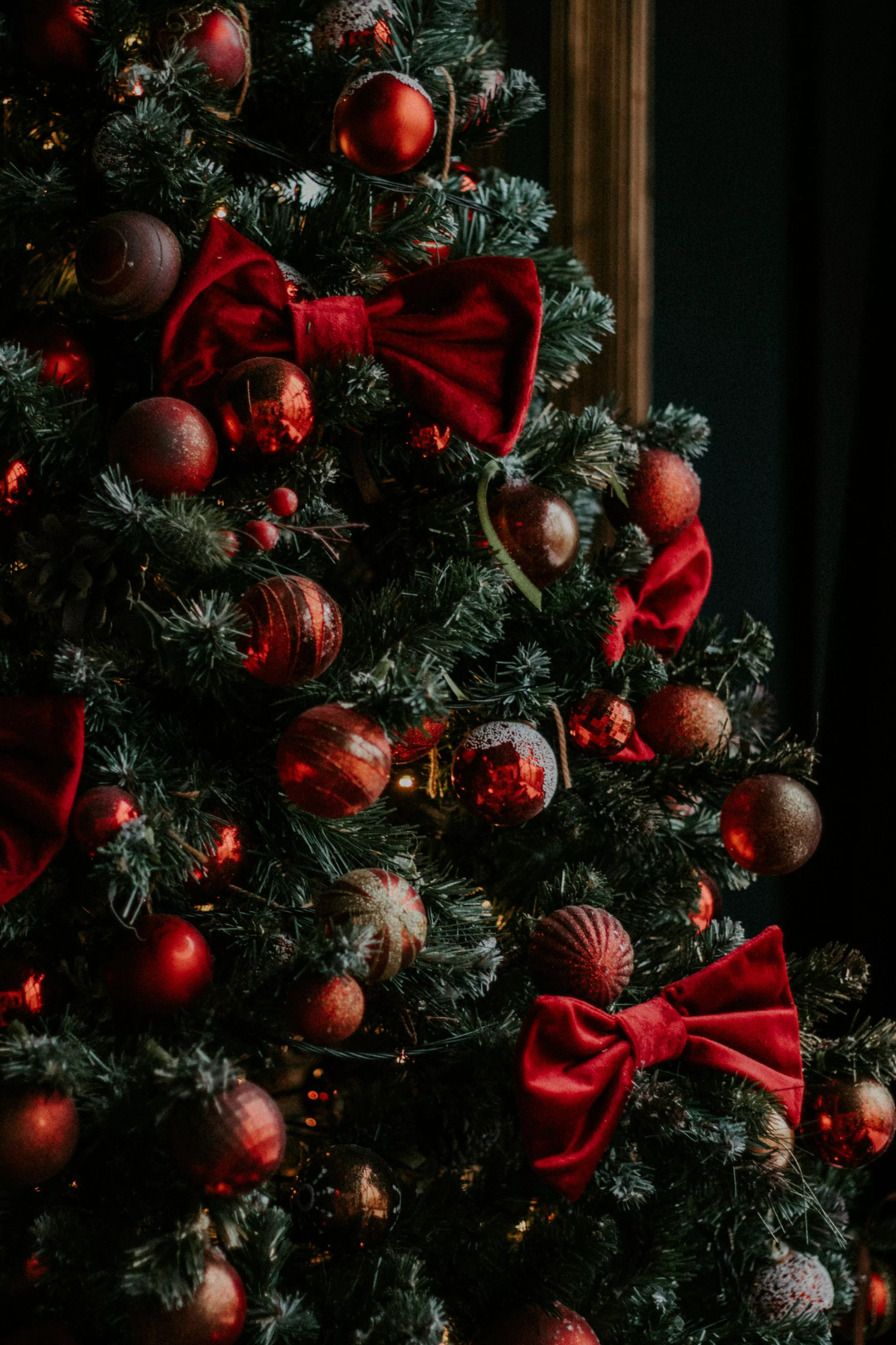 Green and red christmas tree