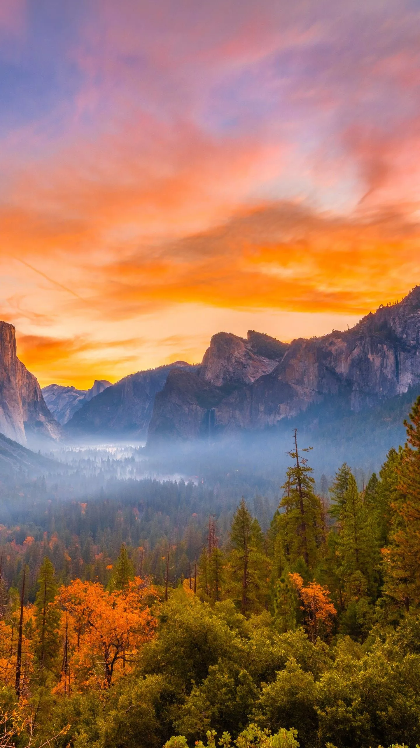 Beautiful Colorful Fall Autumn Trees In Rock Mountains Background During Sunset 4K 5K HD Nature Wallpaper