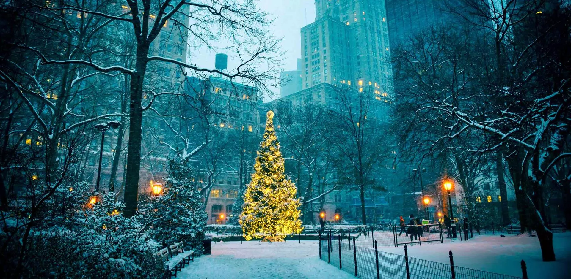Festive fairy tale in New York