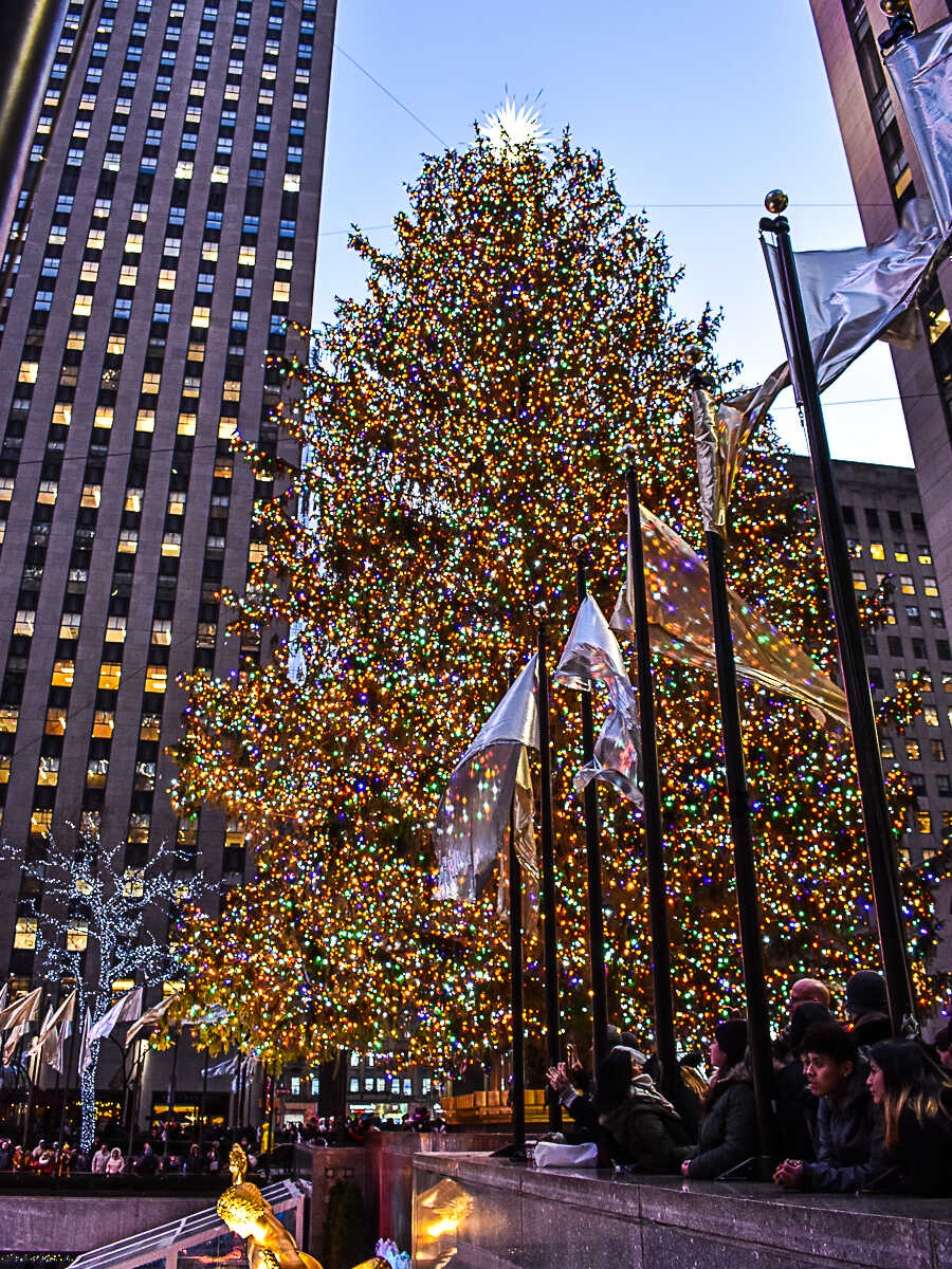 Christmas Photo Spots In New York