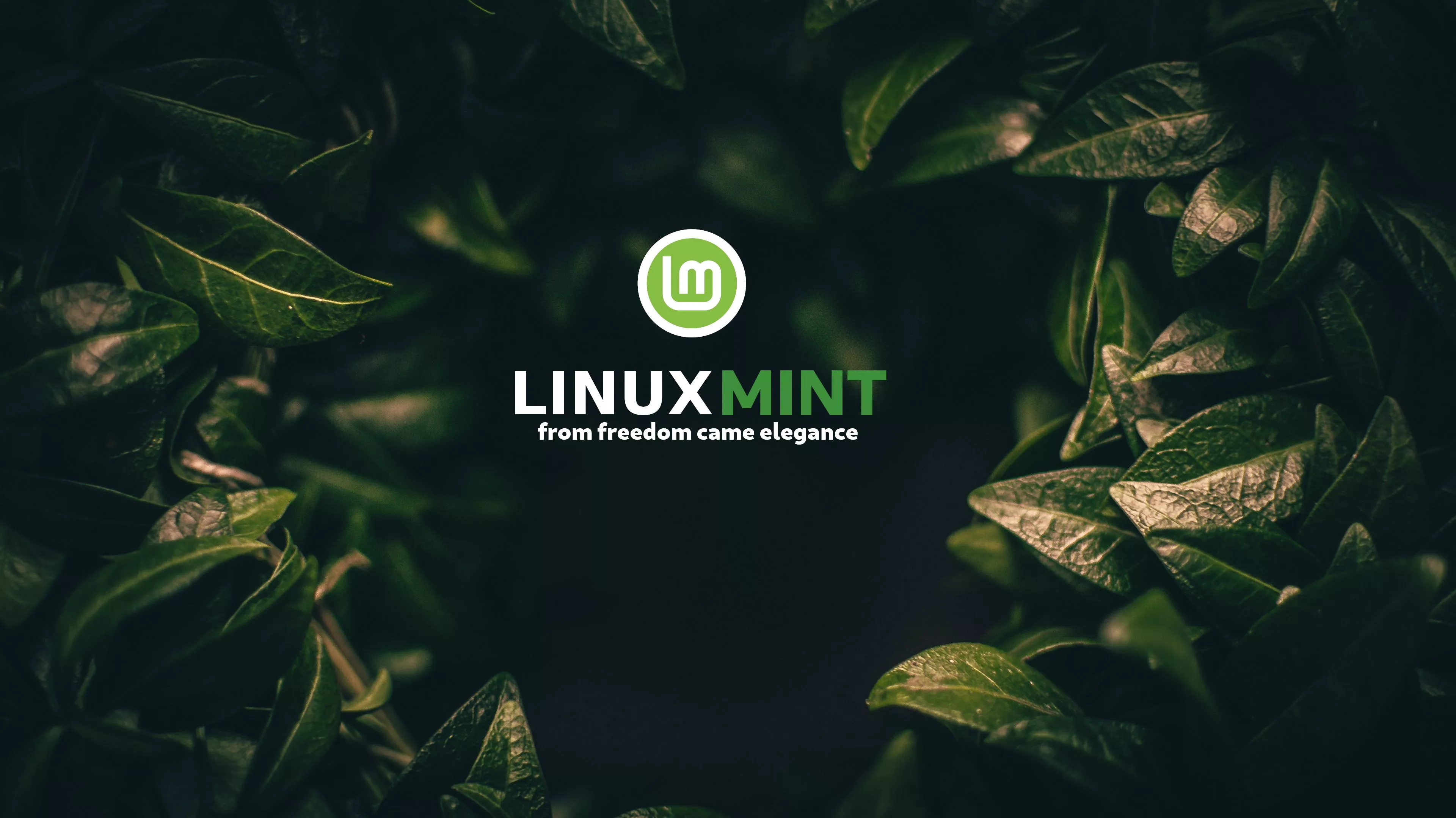 Fabio's Gimp Art Wallpaper 4k