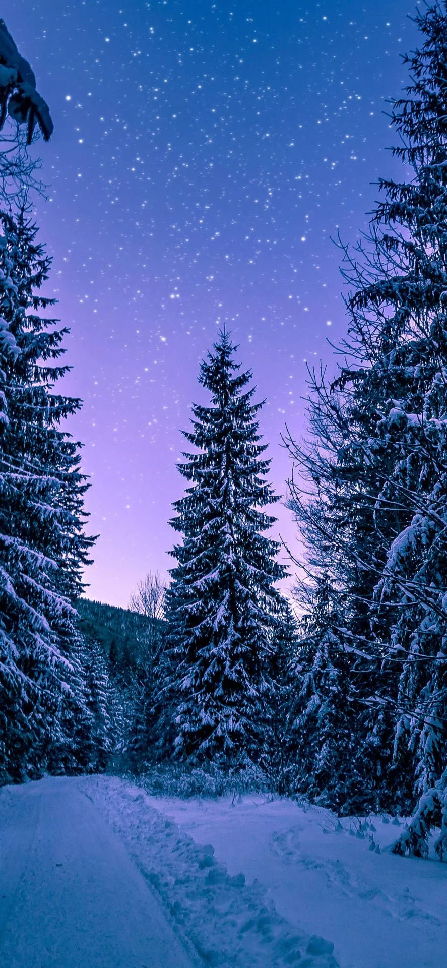 Dreamy Winter Forest iPhone Wallpaper