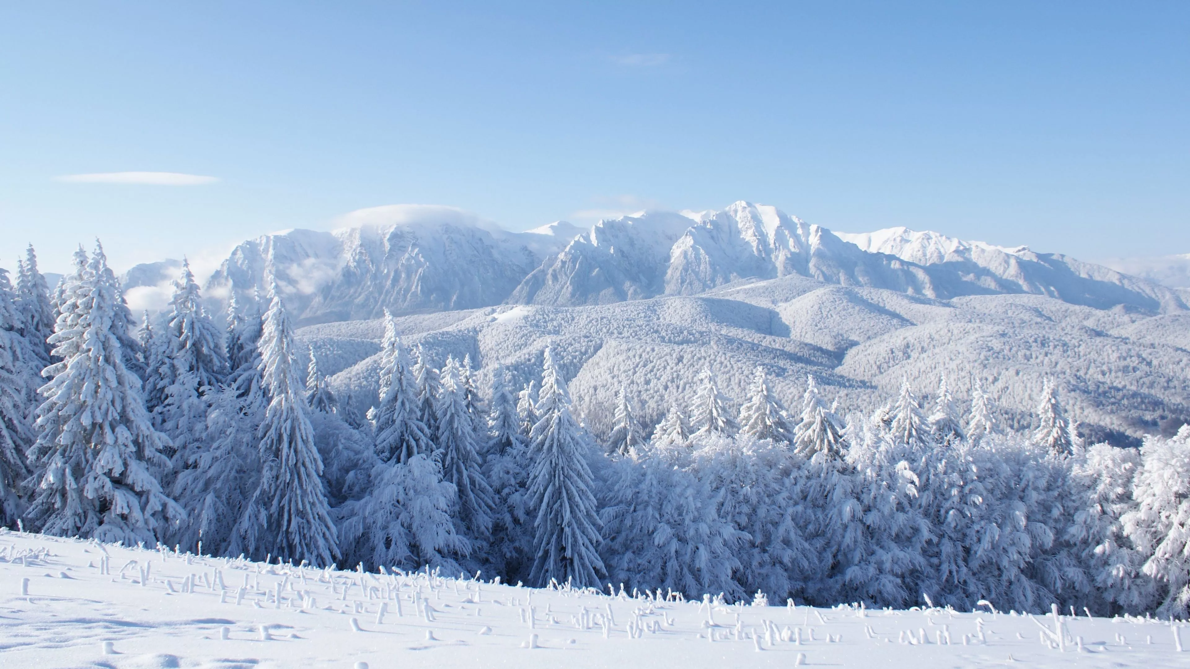 Snow Wallpaper