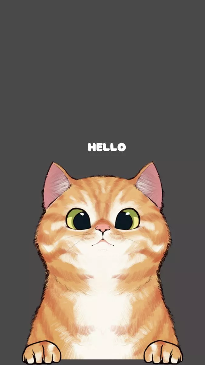 Cute cat wallpaper iphone