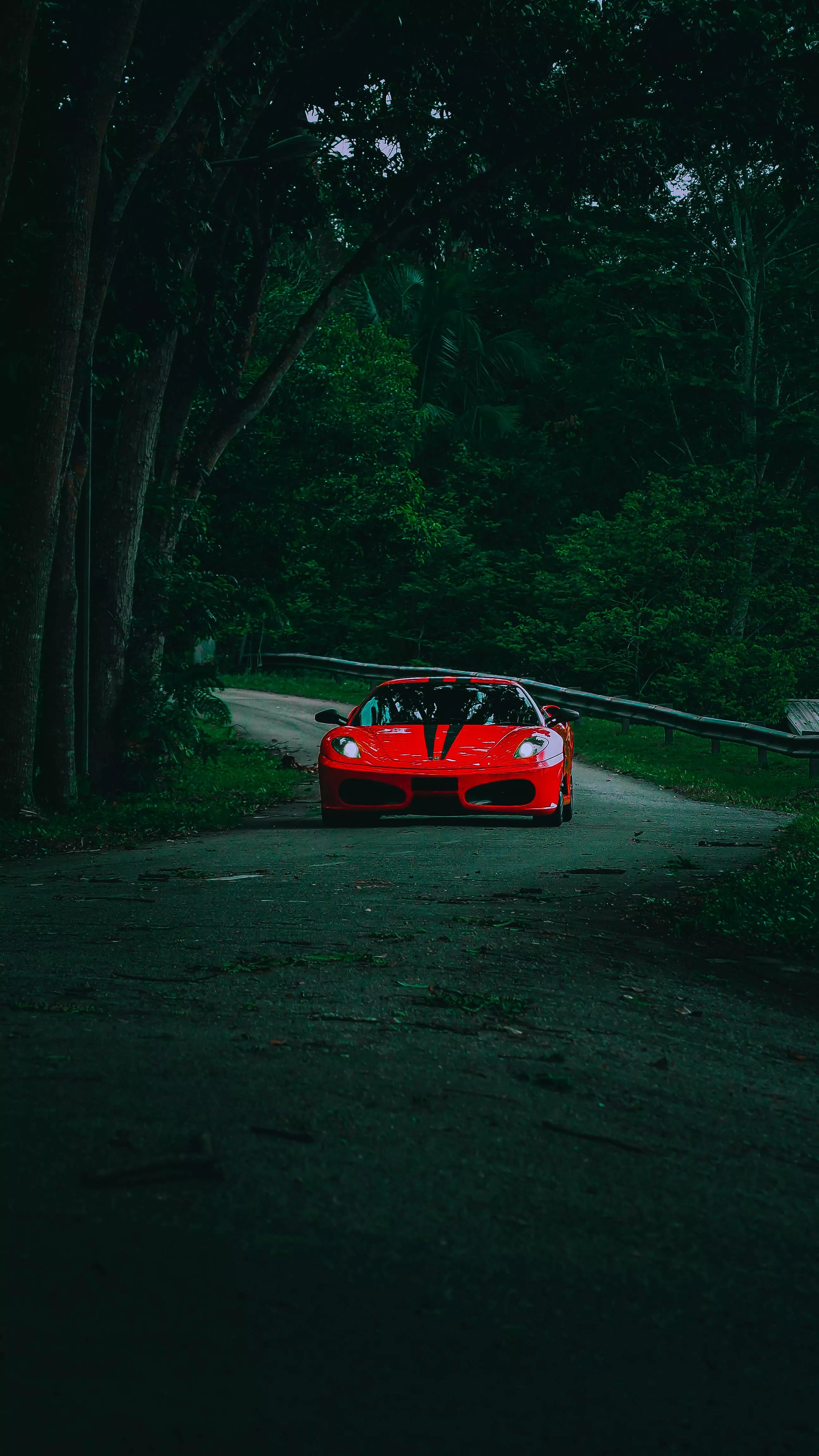 Trees over Ferrari F430 on Road · Free