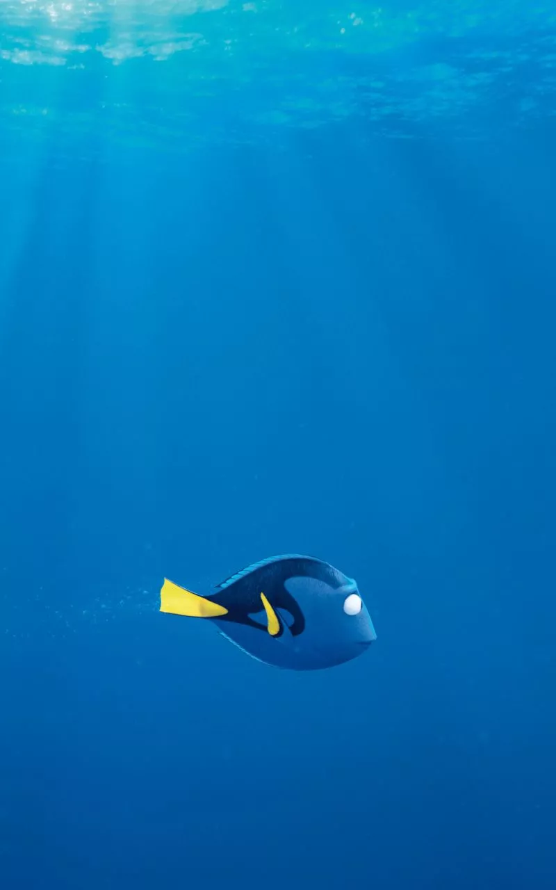 Mobile wallpaper: Movie, Dory Finding