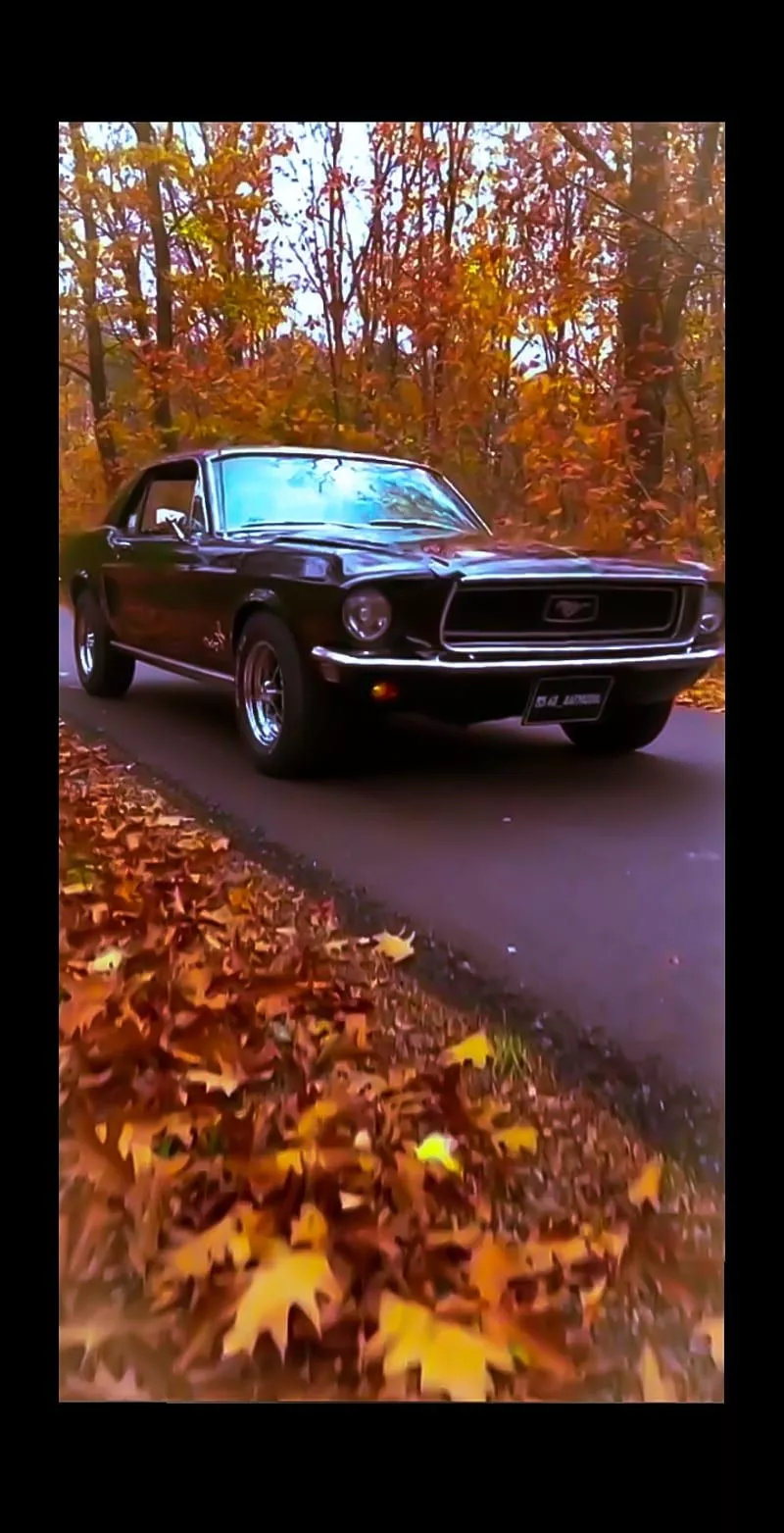 Mustang 1969, classic, mustangs, car