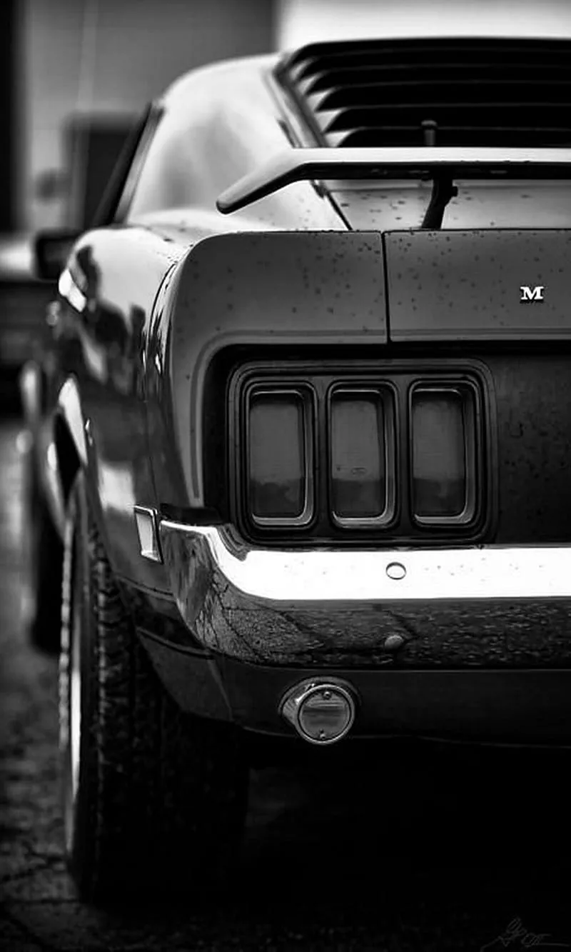 HD boss mustang wallpaper