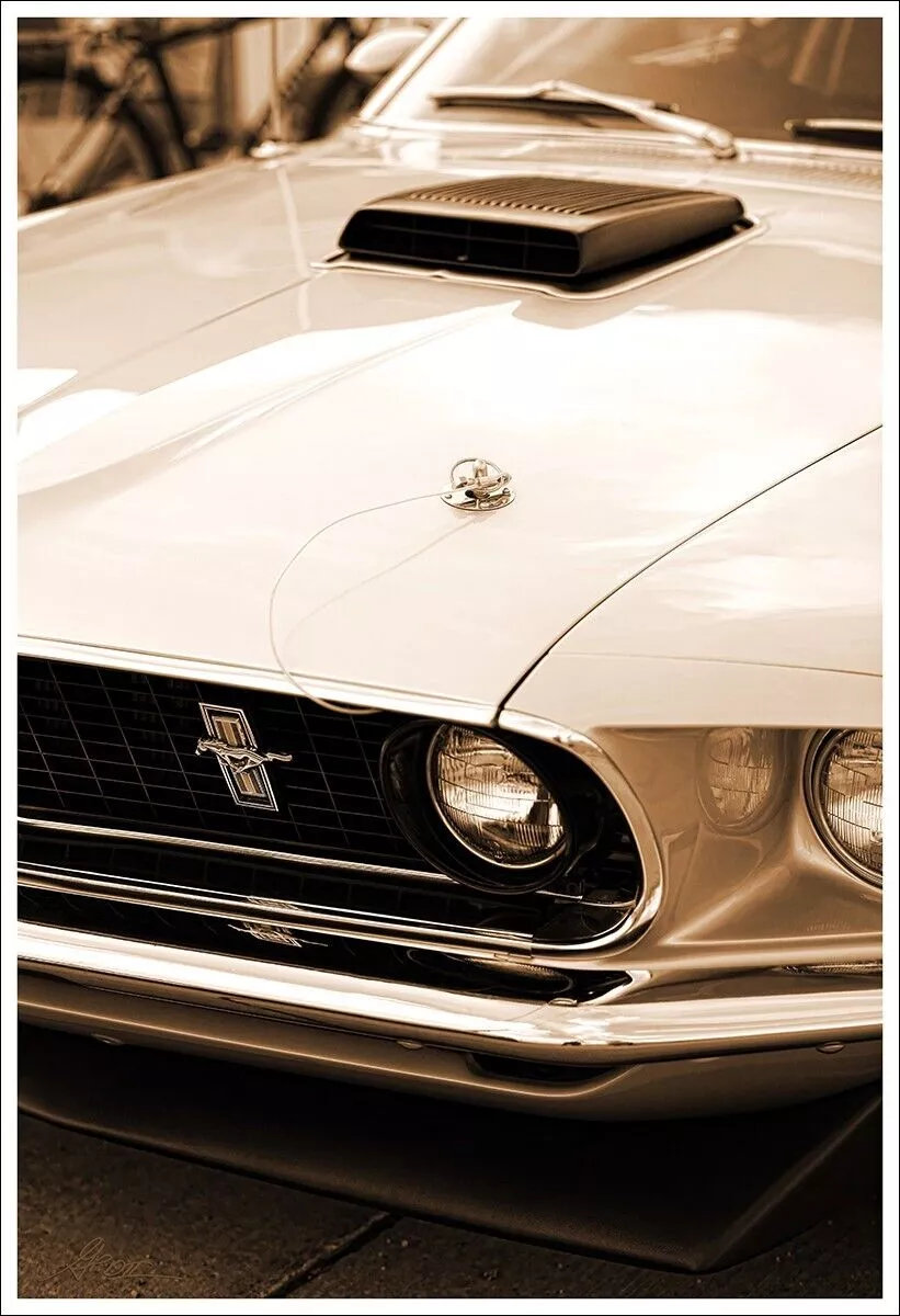 Ford Mustang Shelby GT 500 Photo