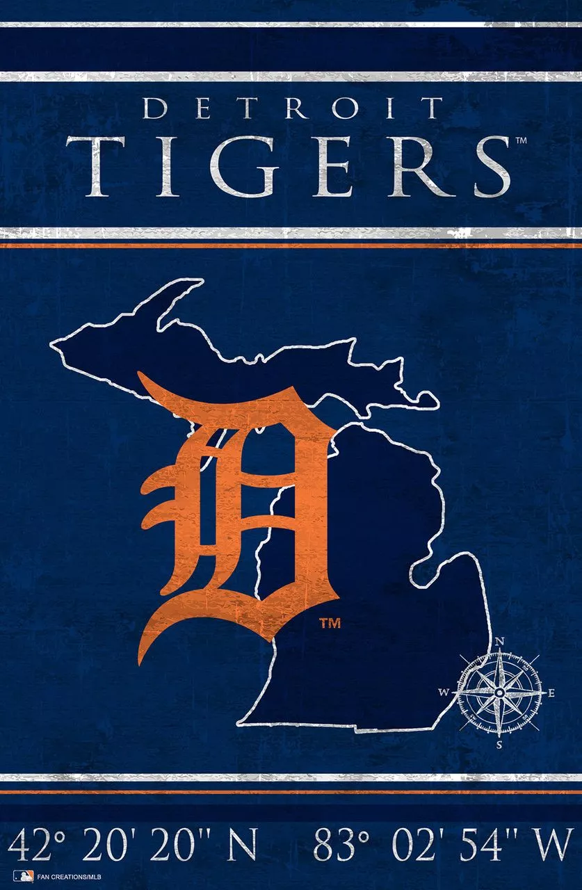 Detroit Tigers 17 x 26 Coordinates