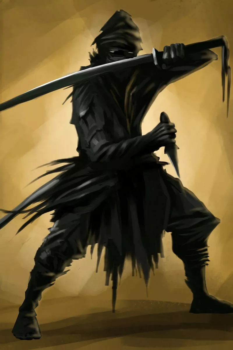 Download wallpaper 800x1200 ninja