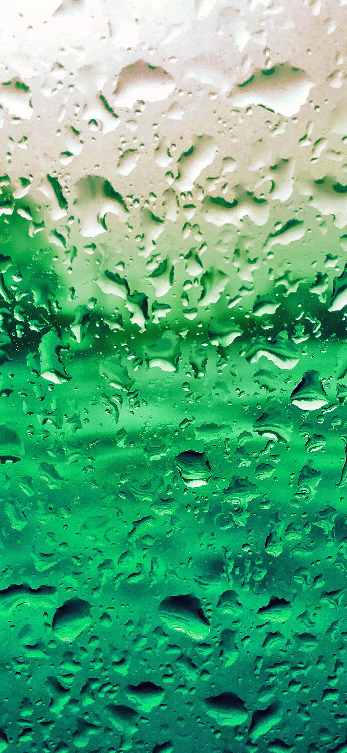 Rain Drop Window Green Pattern