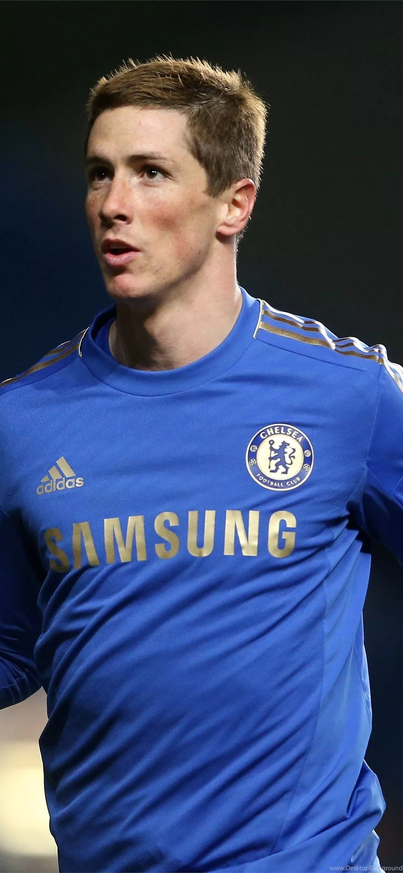 Fernando Torres Wallpaper