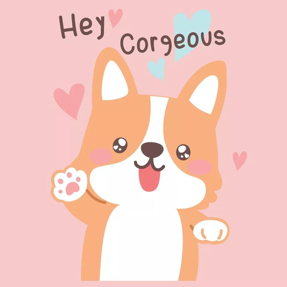 my cute corgi Vector Art at