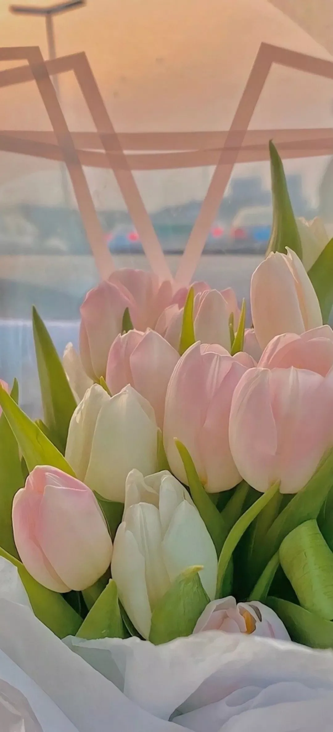 tulips, flower aesthetic