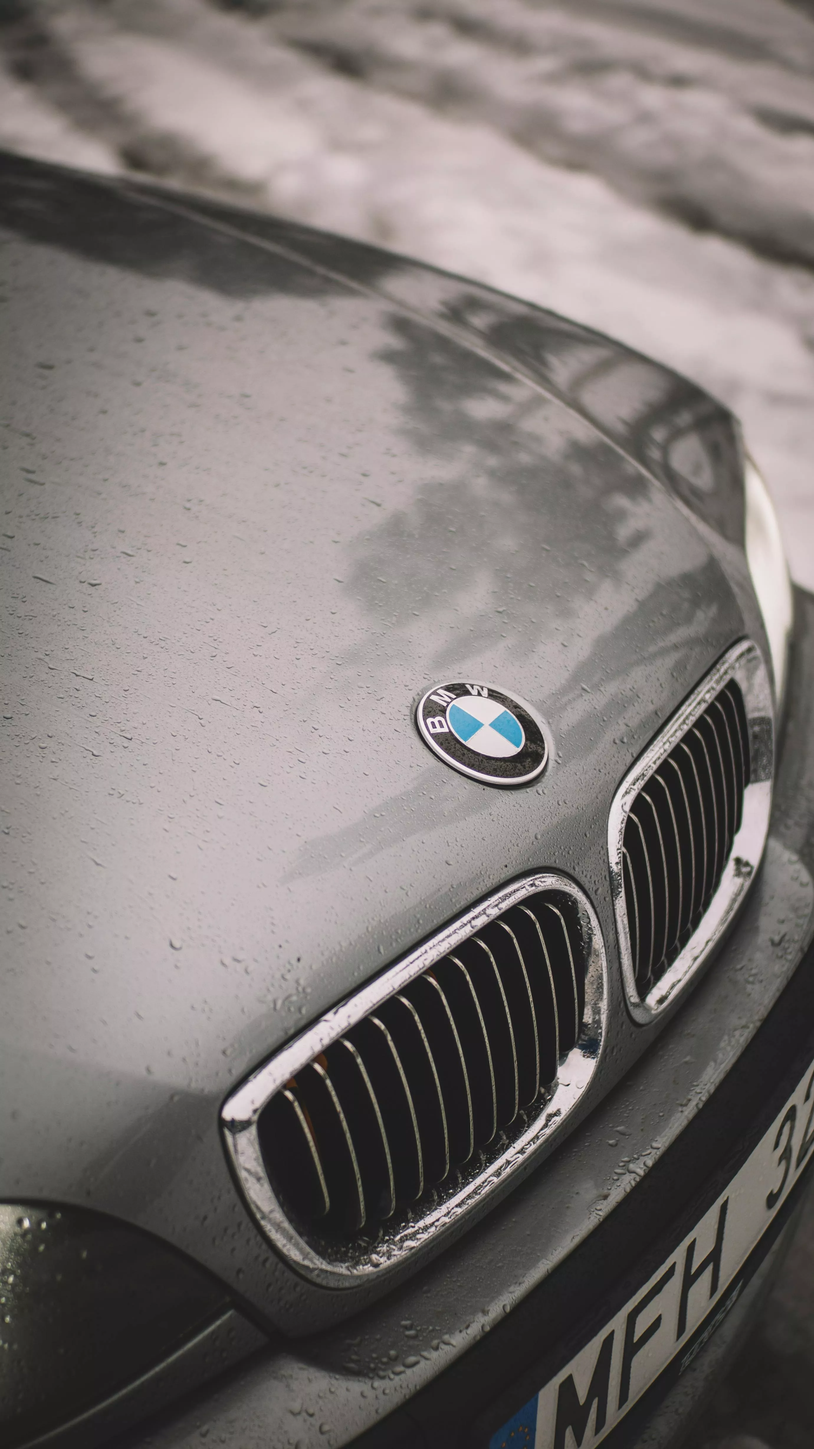 Bmw Logo Photo, Download The BEST Free
