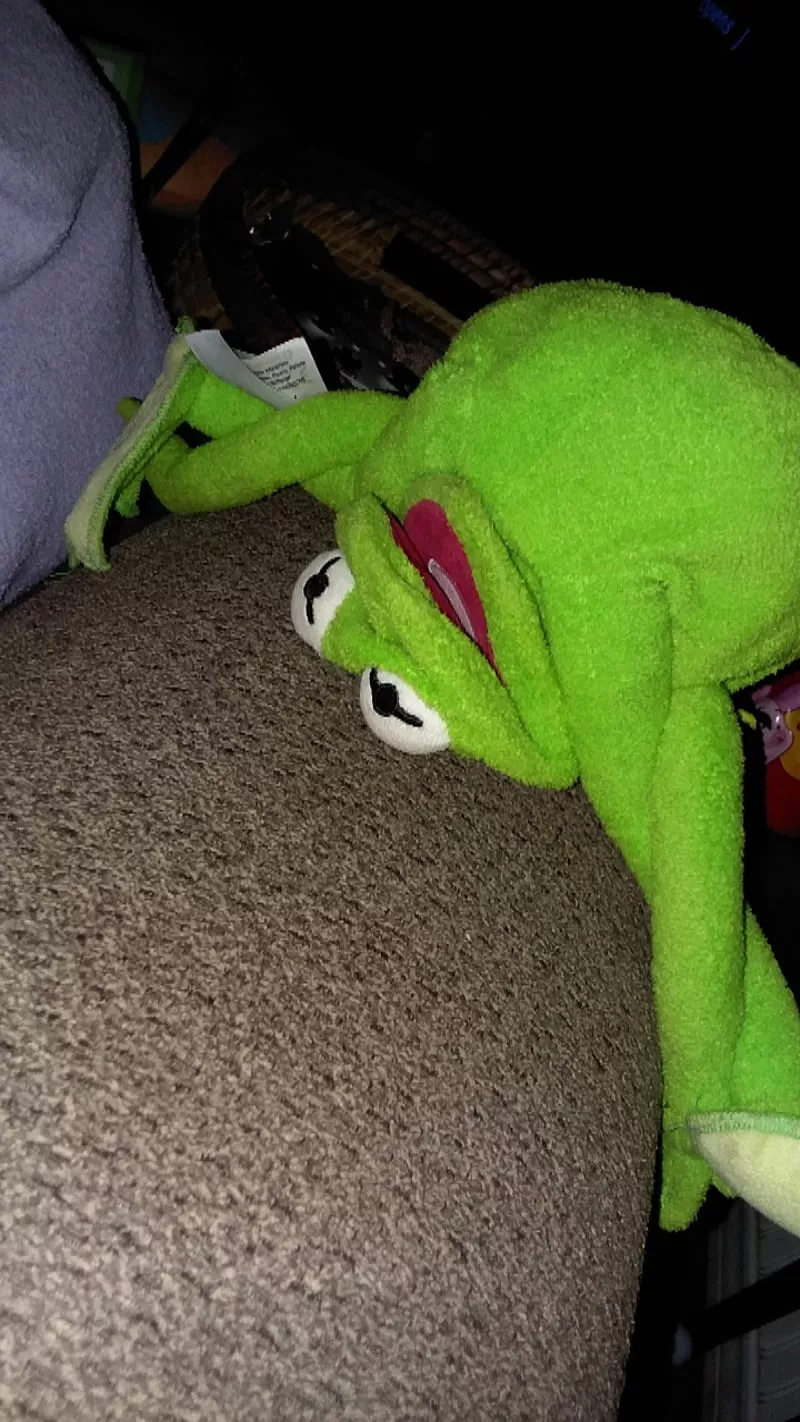 HD Kermit the Frog wallpaper