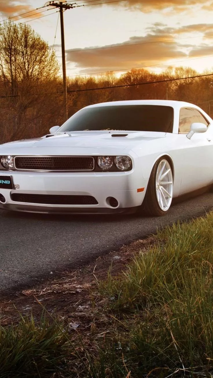 Muscle Car 4k Phone Wallpaper For You