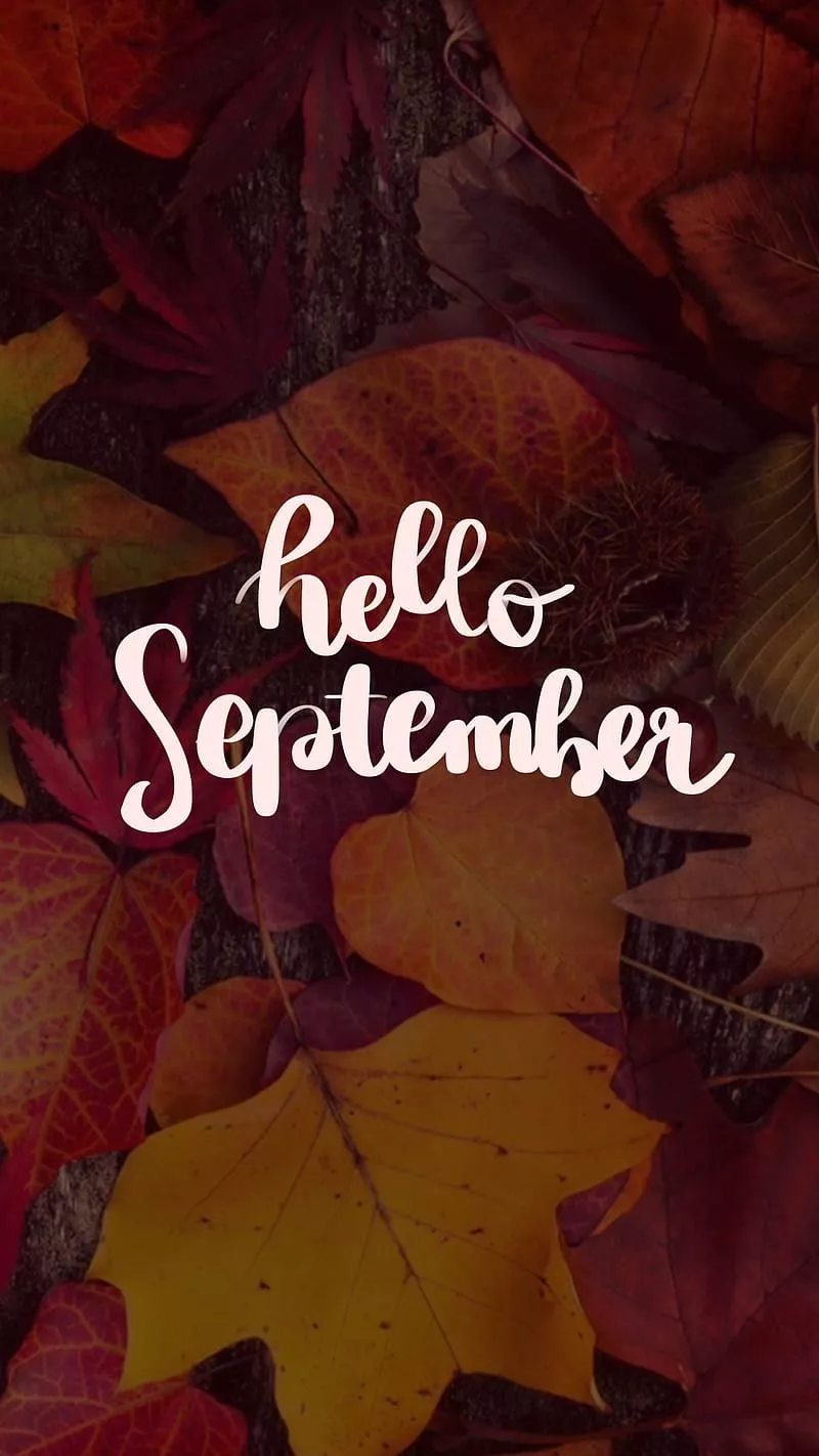Hello september, 2020, autumn, brown, cold, cozy, happy leaf, month, orange, HD phone wallpaper