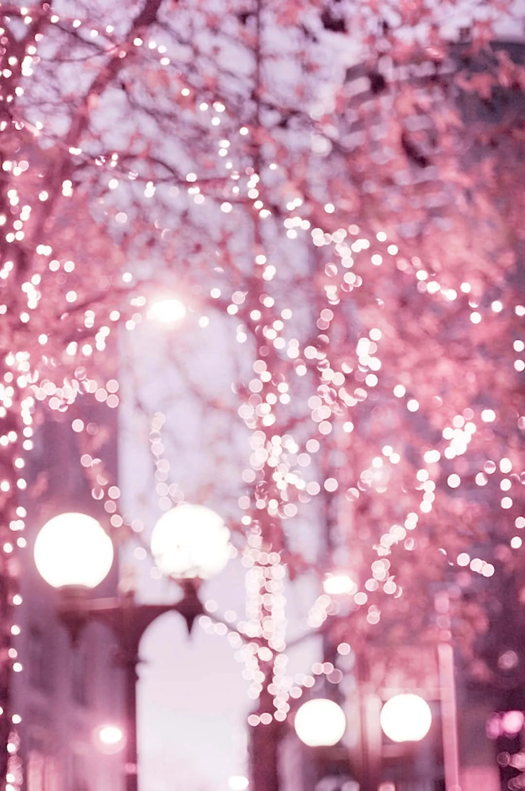 Pink Winter Aesthetic Wallpaper