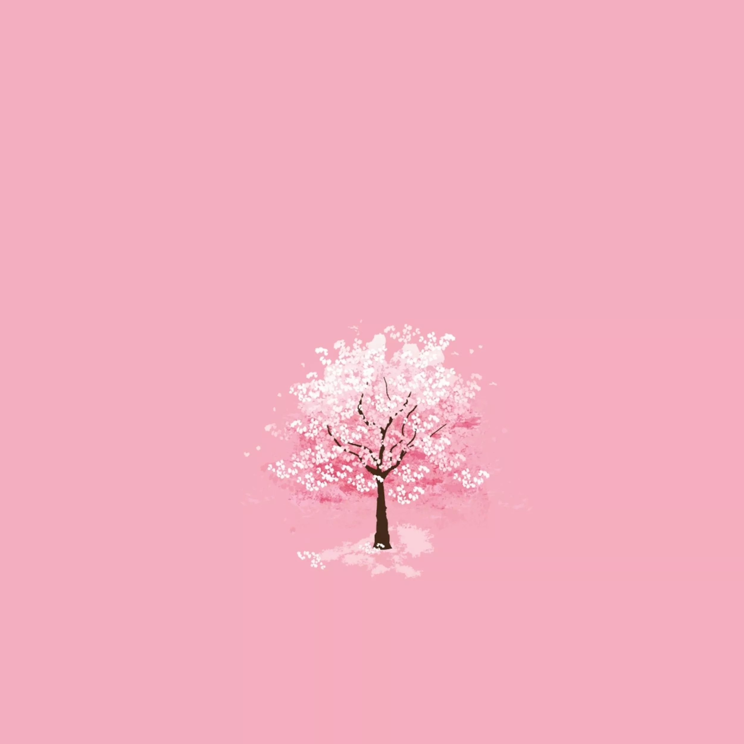 Most Popular Pink Wallpaper