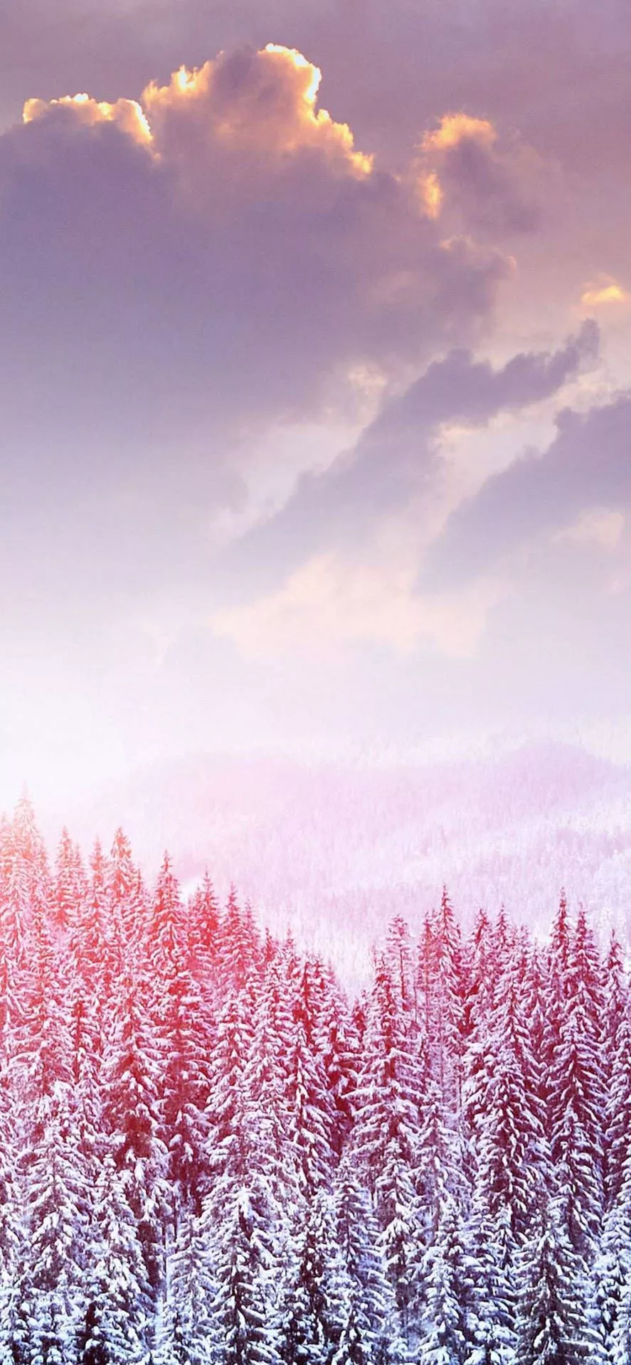 Download Cute Winter iPhone