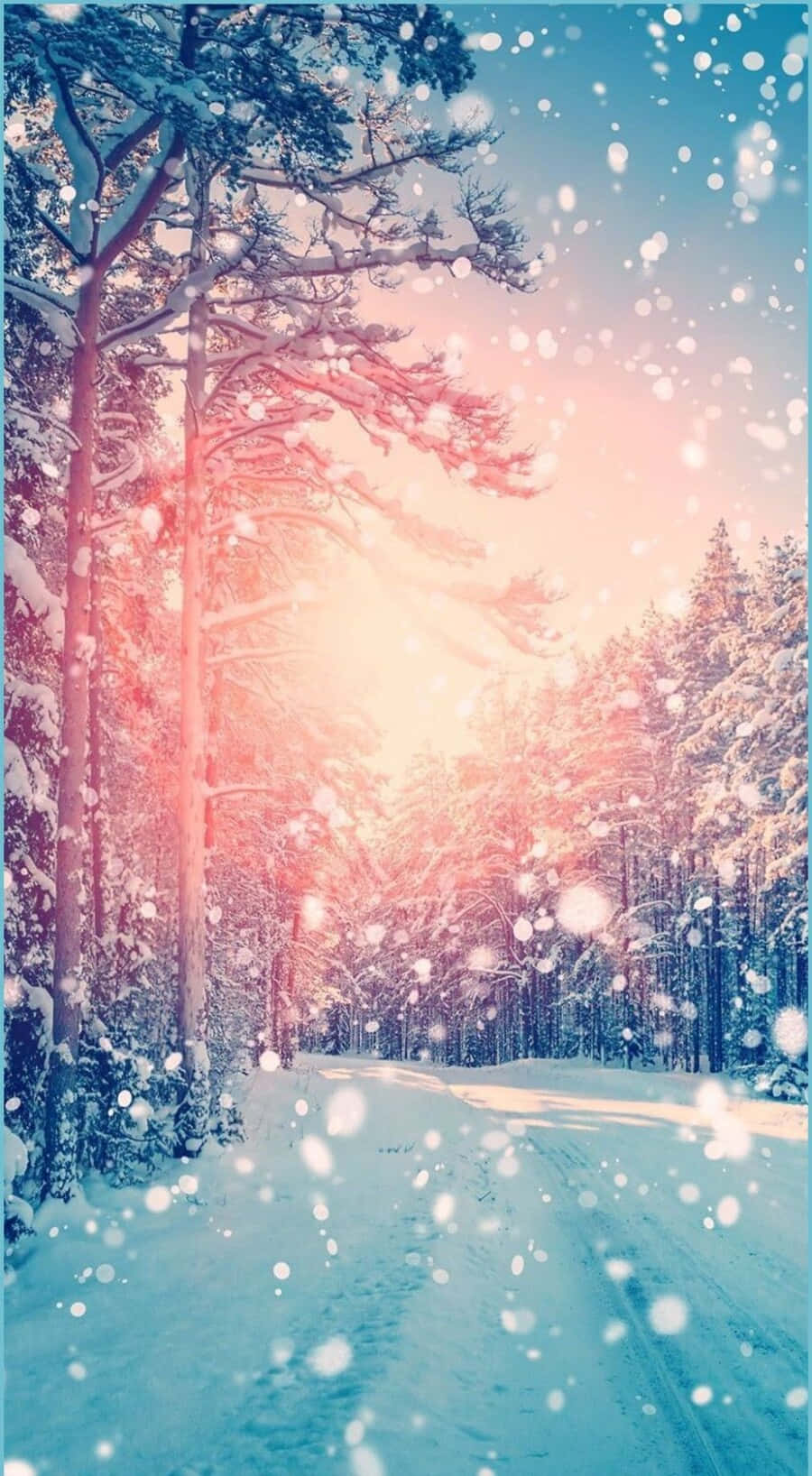 Cute Winter Aesthetic 900 X 1636