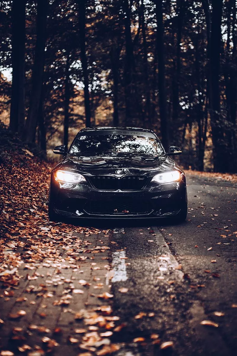 HD autumn bmw wallpaper