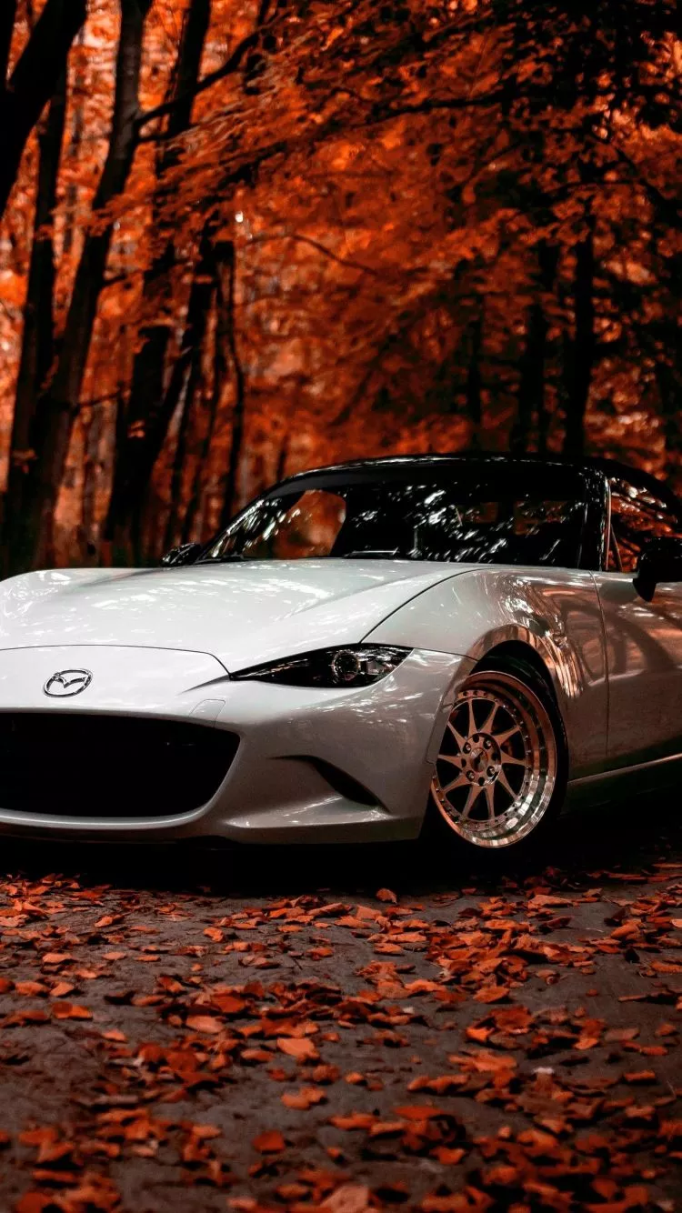 Download wallpaper 750x1334 mazda, off