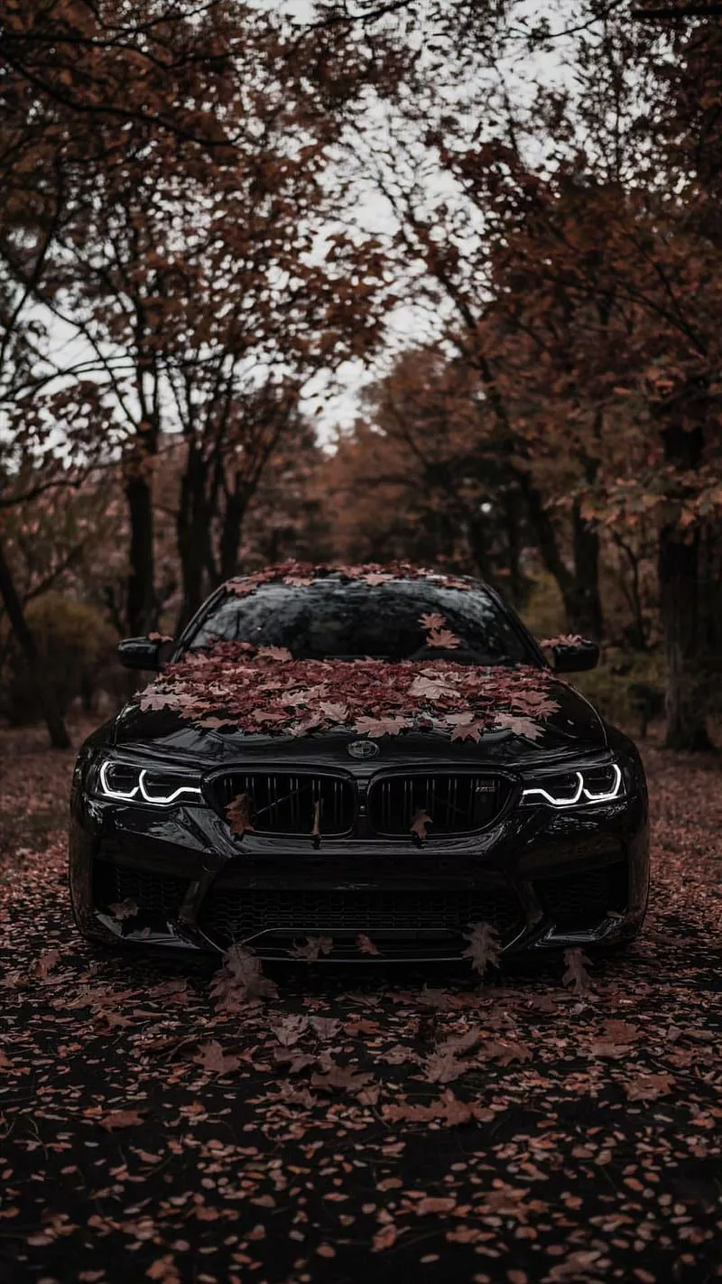 Autumn is over, bmw, m5, black, car